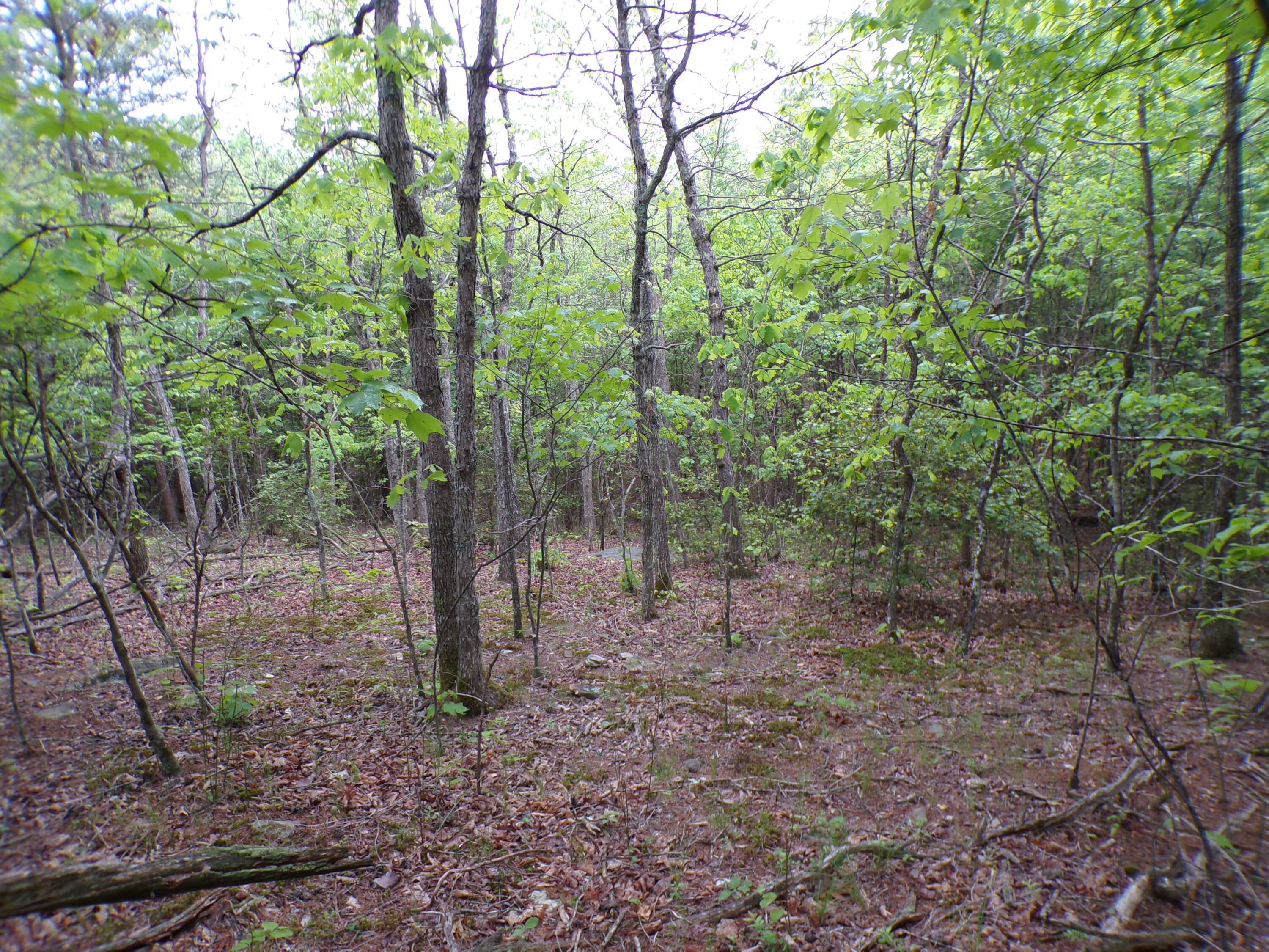 Goforth Road #10, Spencer, Tennessee image 36
