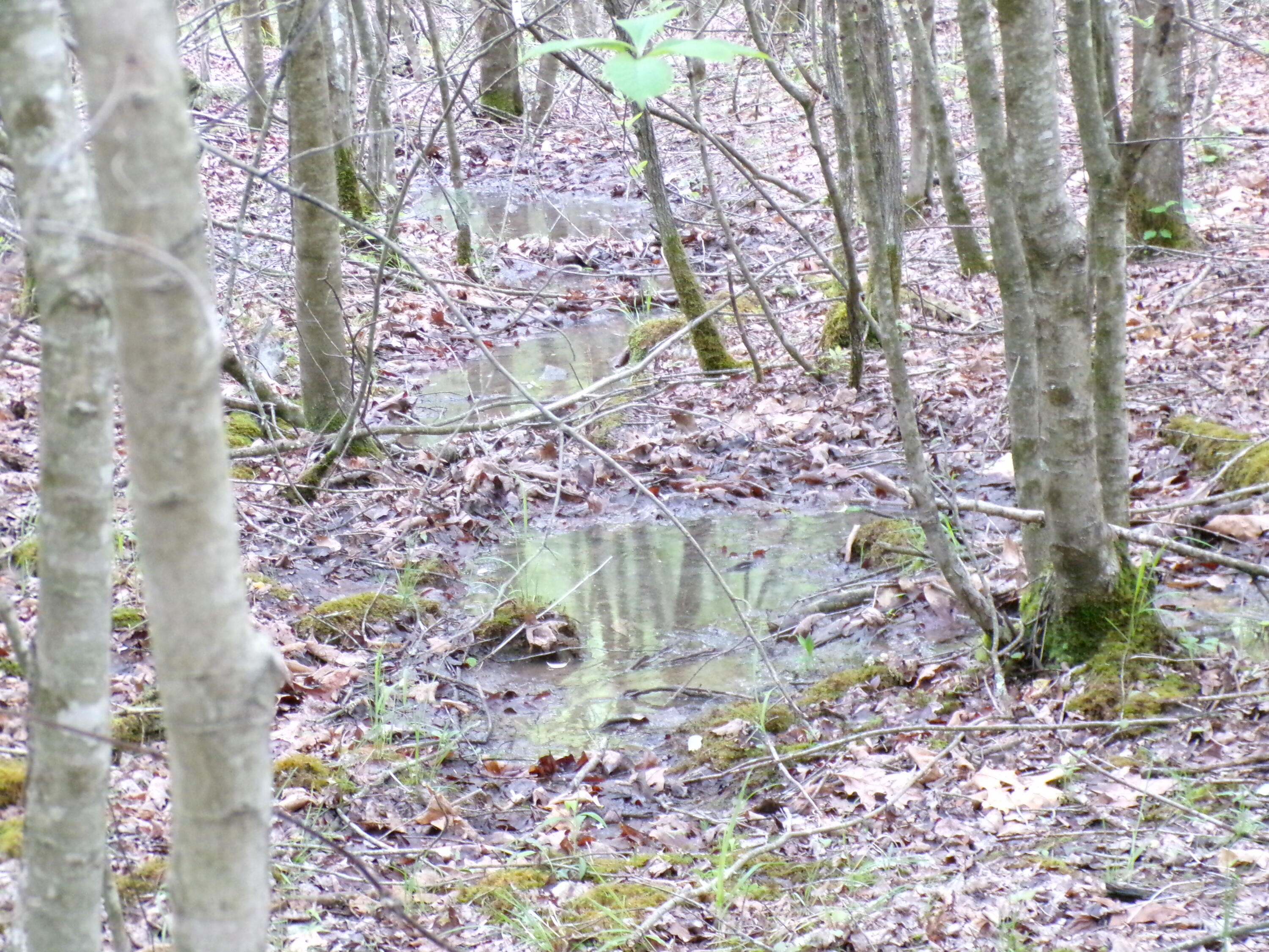 Goforth Road #10, Spencer, Tennessee image 10