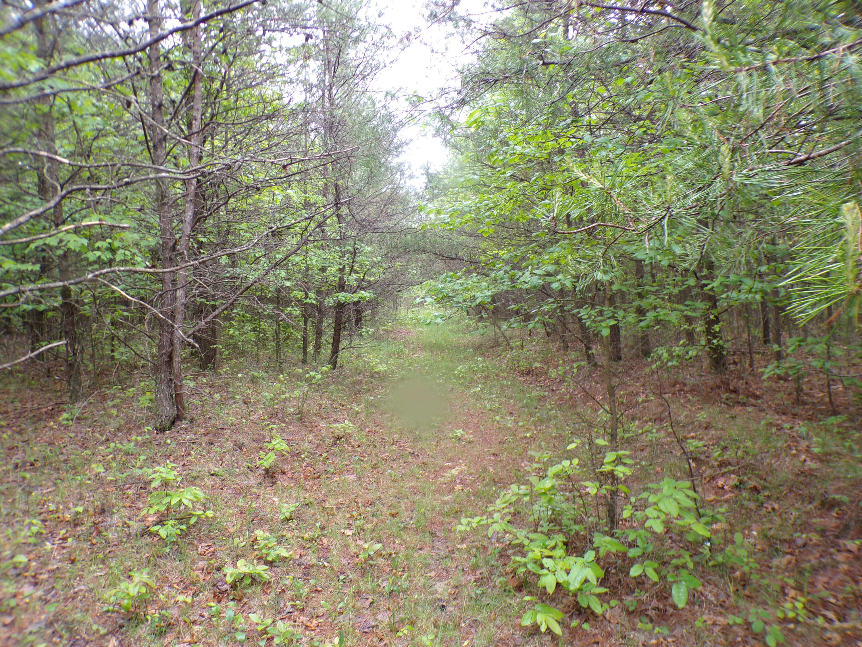 Goforth Road #10, Spencer, Tennessee image 47