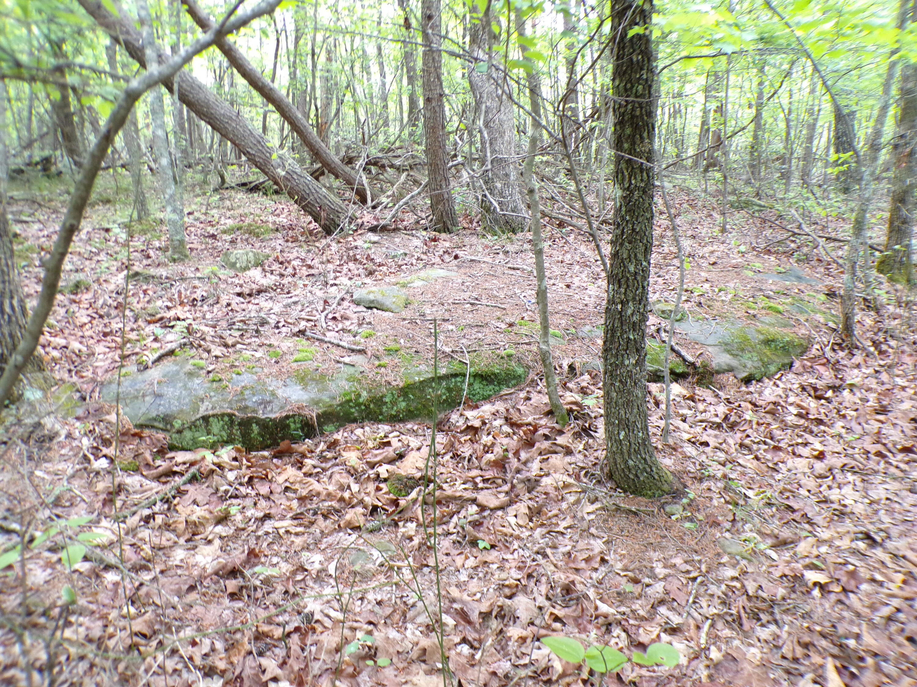 Goforth Road #10, Spencer, Tennessee image 7