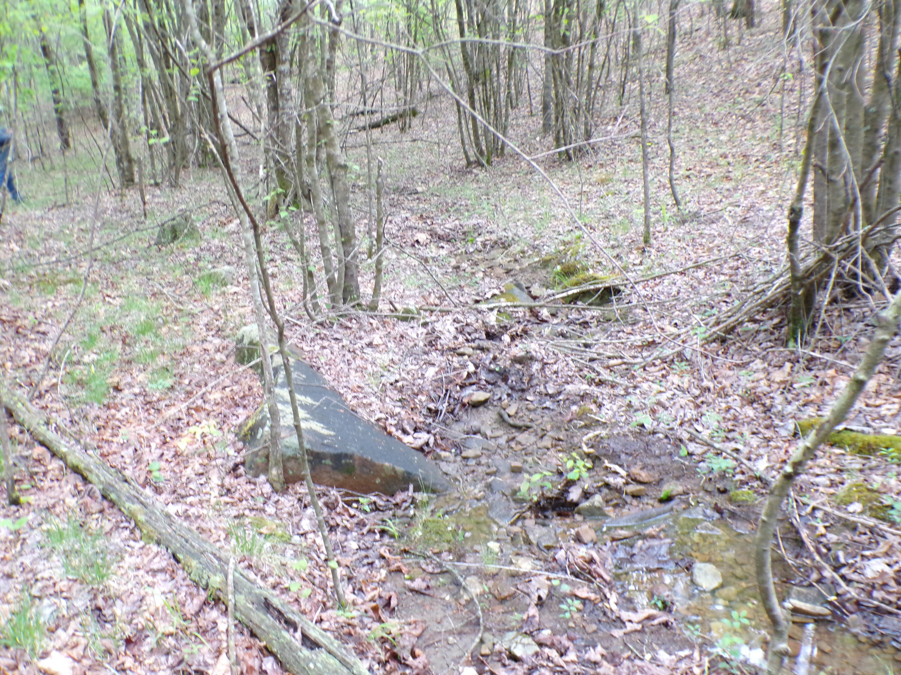 Goforth Road #10, Spencer, Tennessee image 14