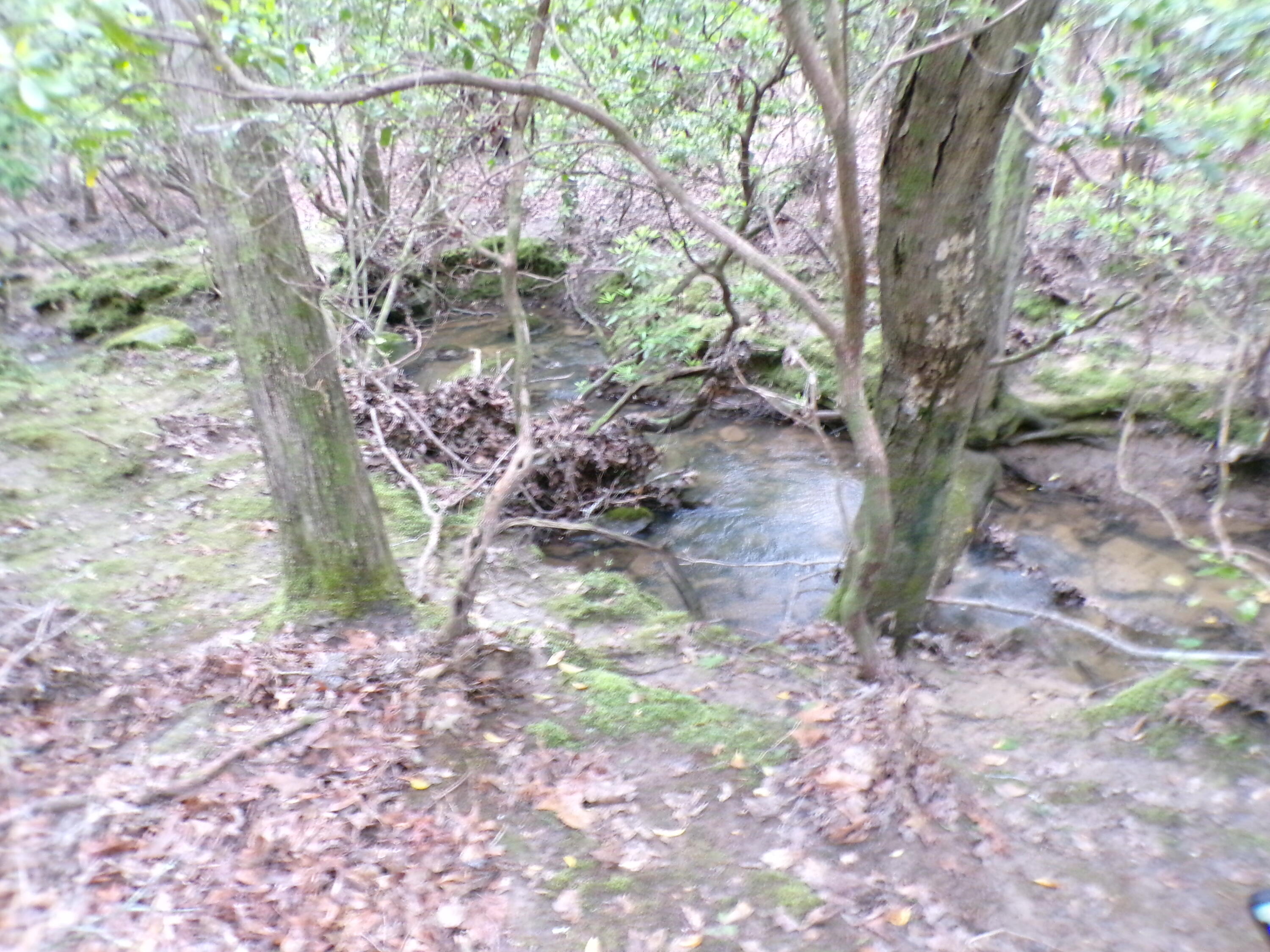 Goforth Road #10, Spencer, Tennessee image 21