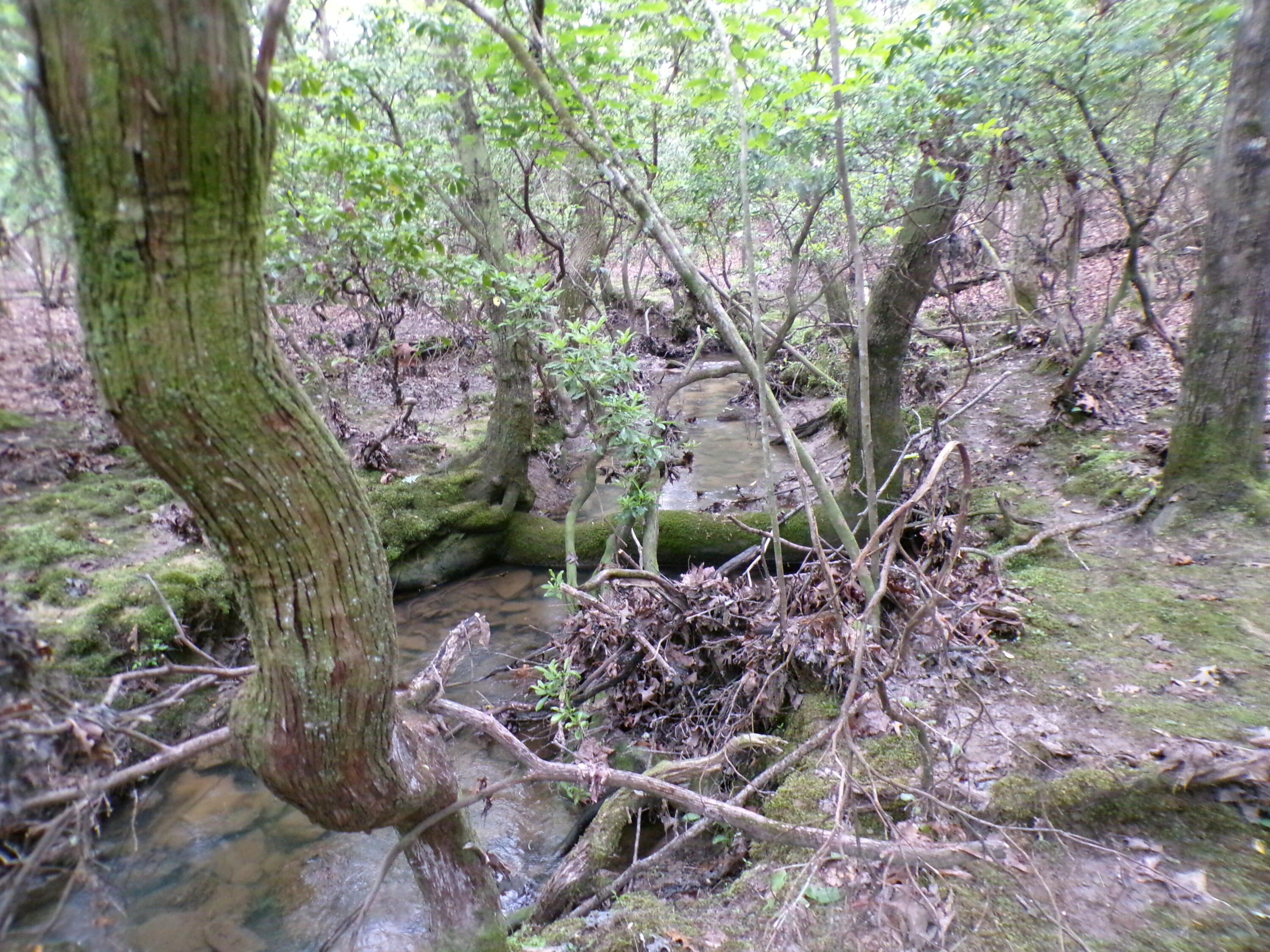 Goforth Road #10, Spencer, Tennessee image 25