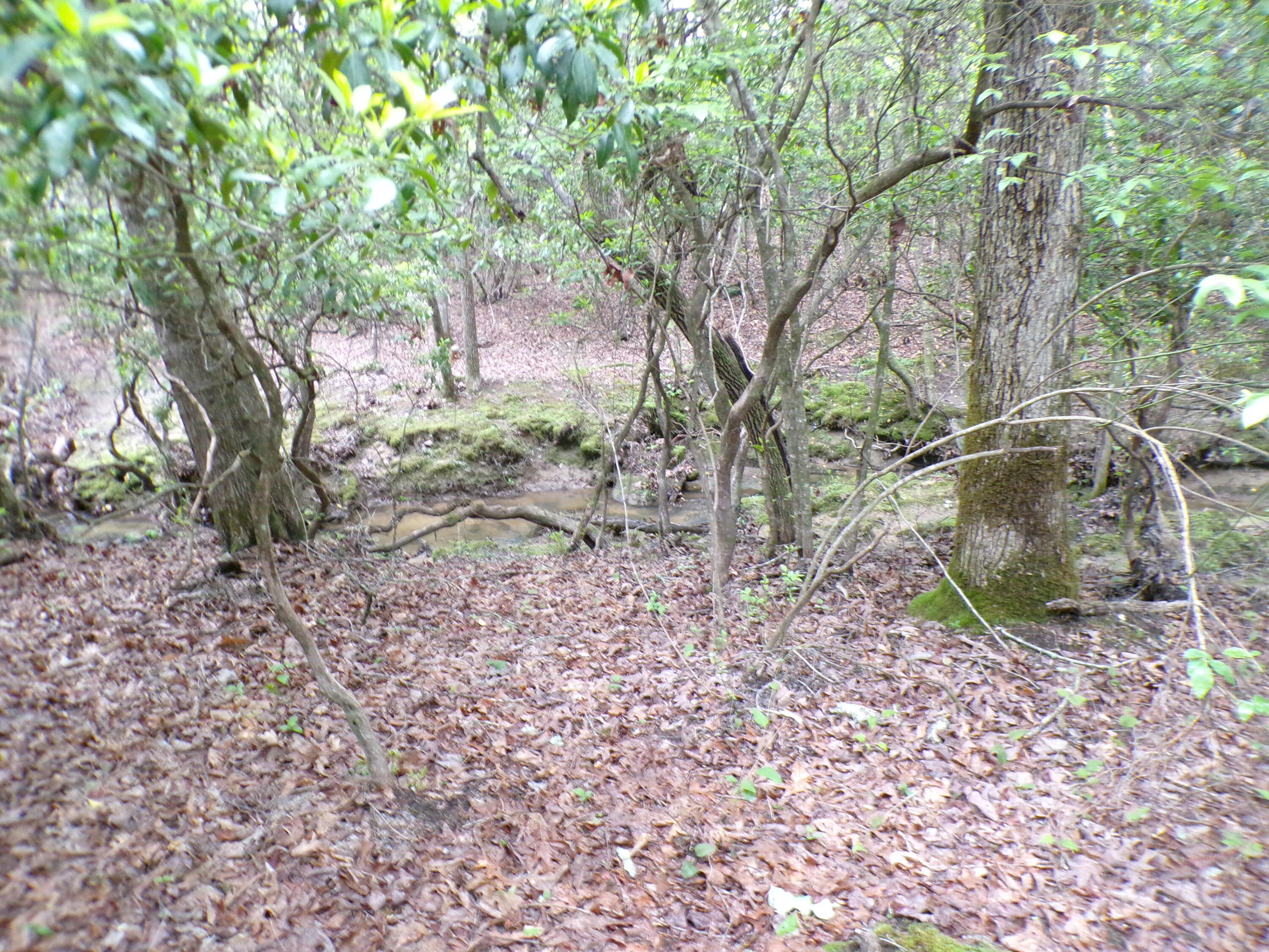 Goforth Road #10, Spencer, Tennessee image 31