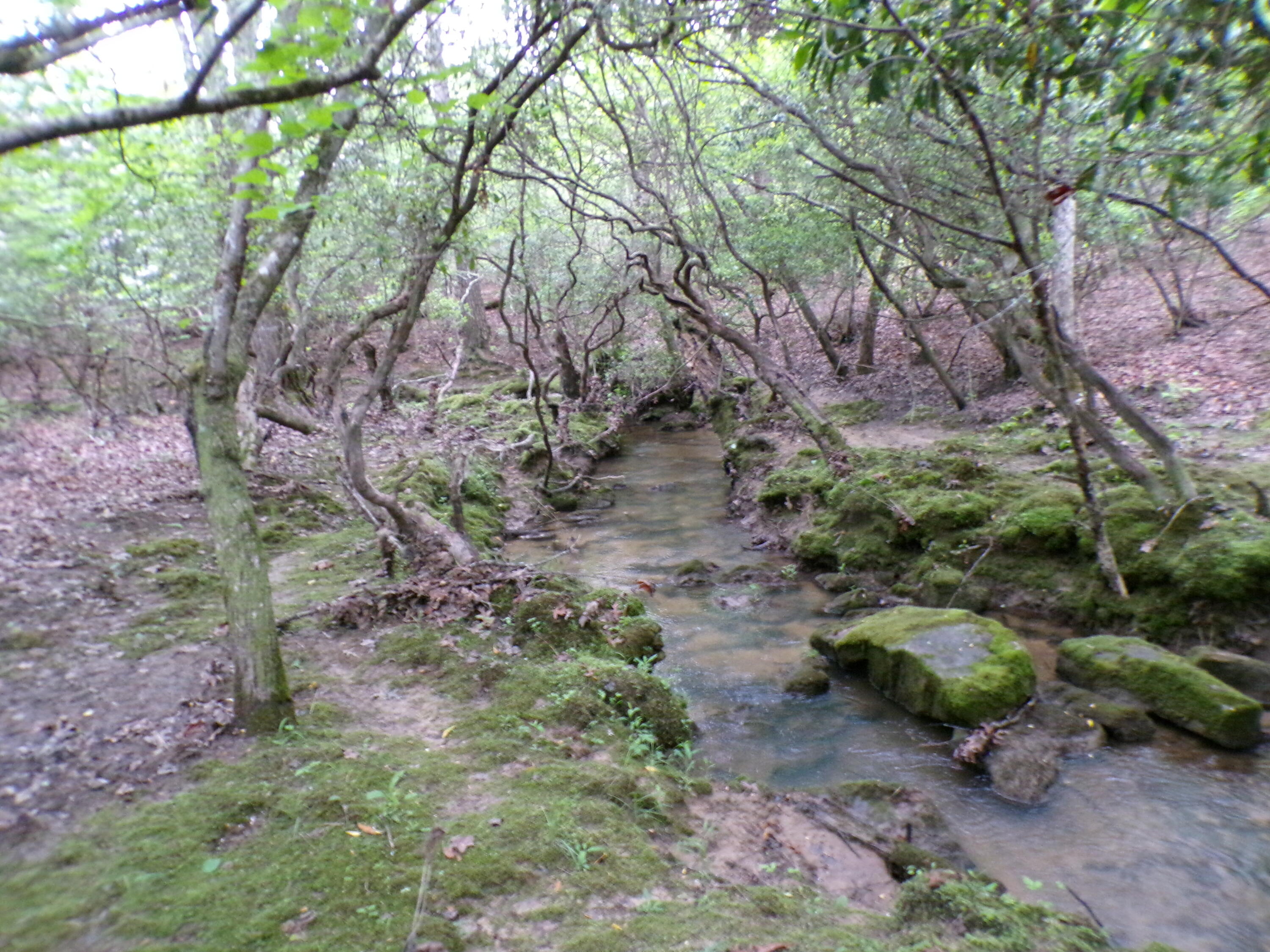 Goforth Road #10, Spencer, Tennessee image 24