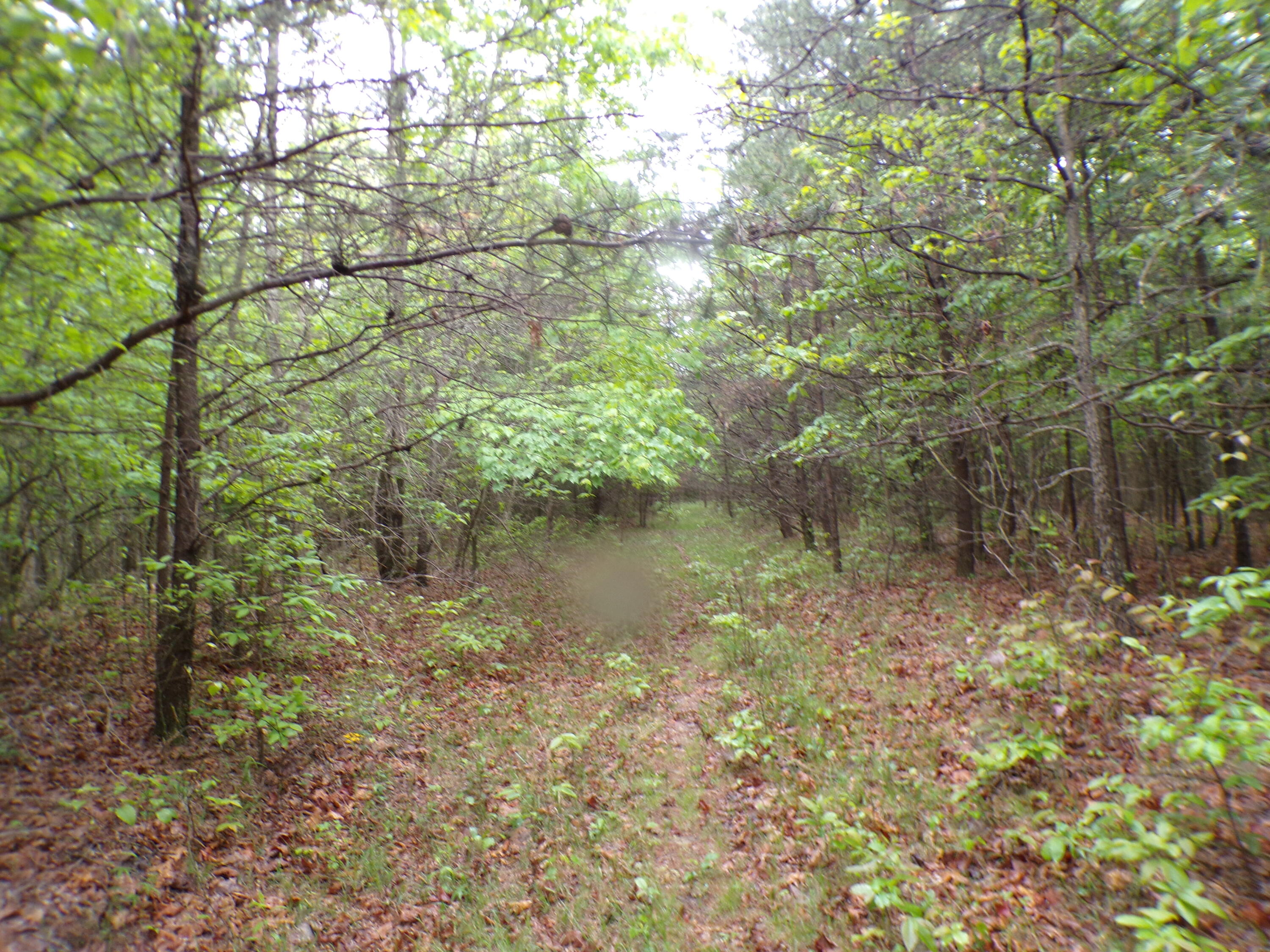 Goforth Road #10, Spencer, Tennessee image 48