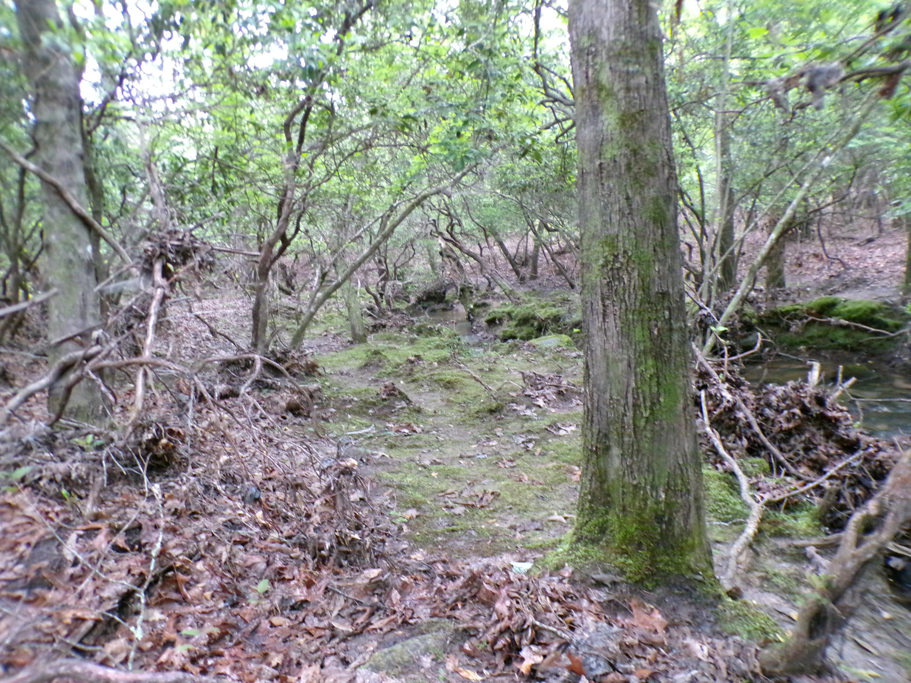 Goforth Road #10, Spencer, Tennessee image 22
