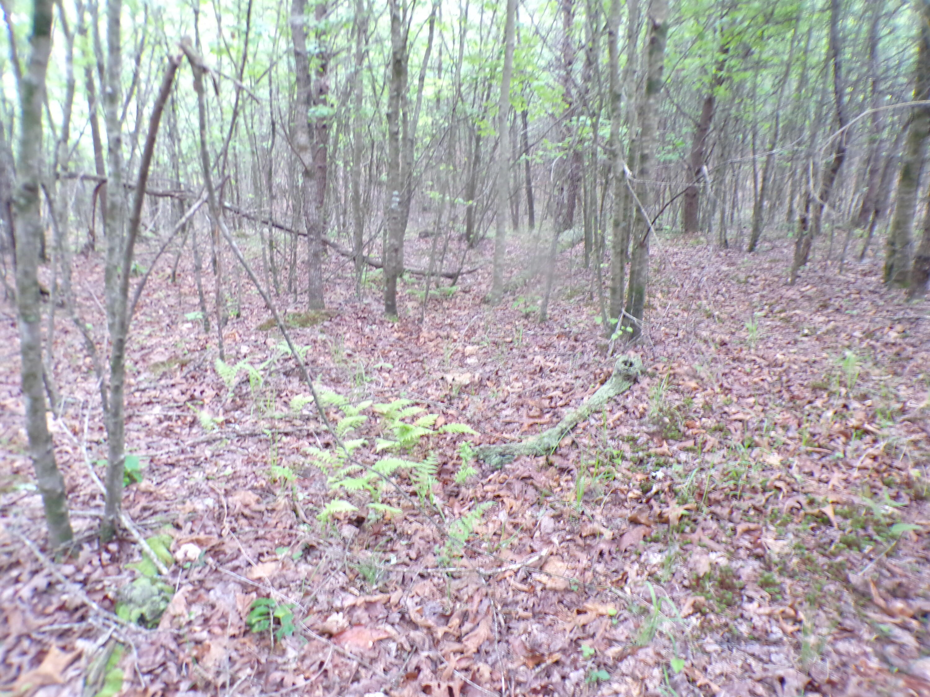 Goforth Road #10, Spencer, Tennessee image 39