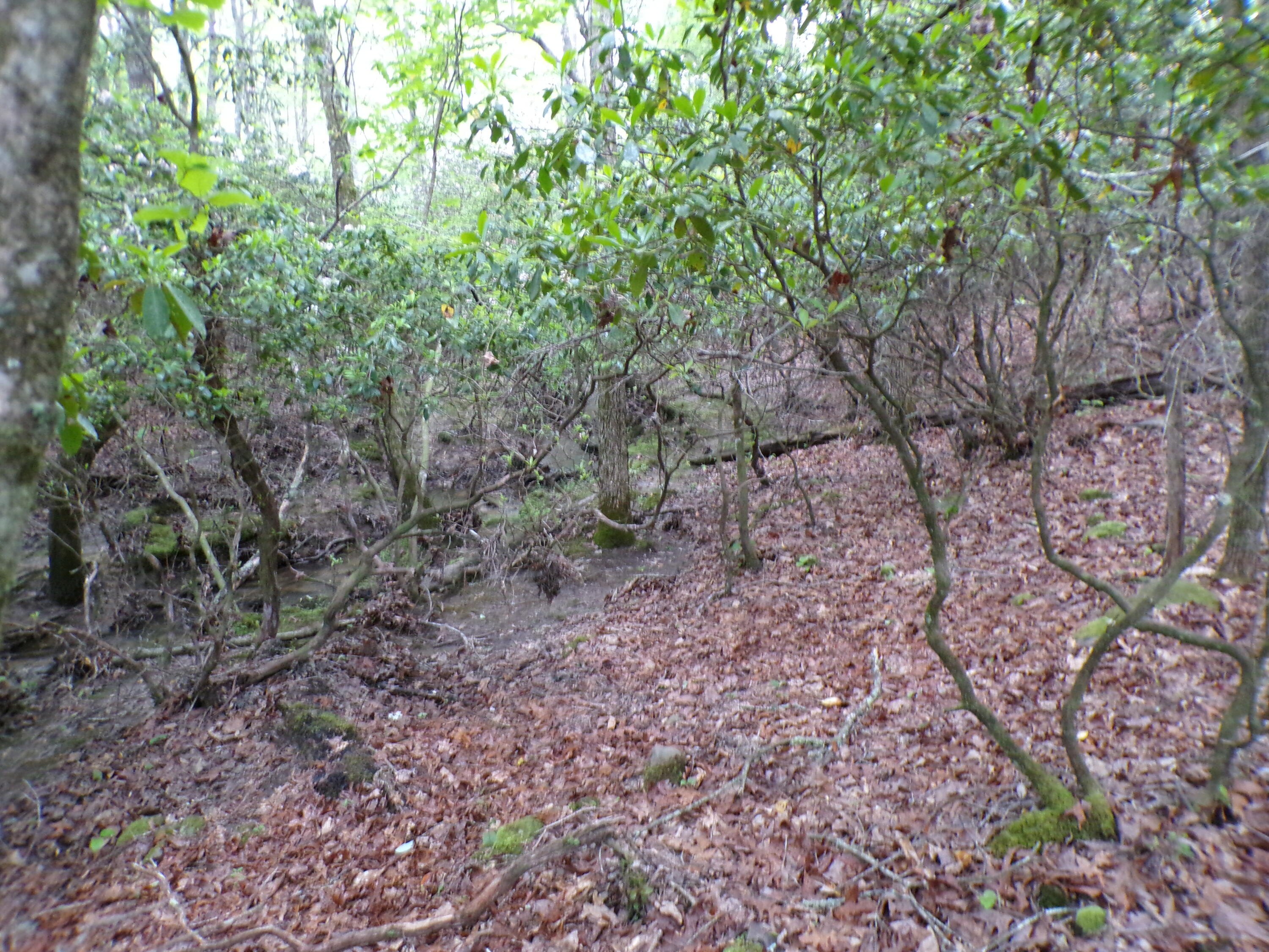 Goforth Road #10, Spencer, Tennessee image 20