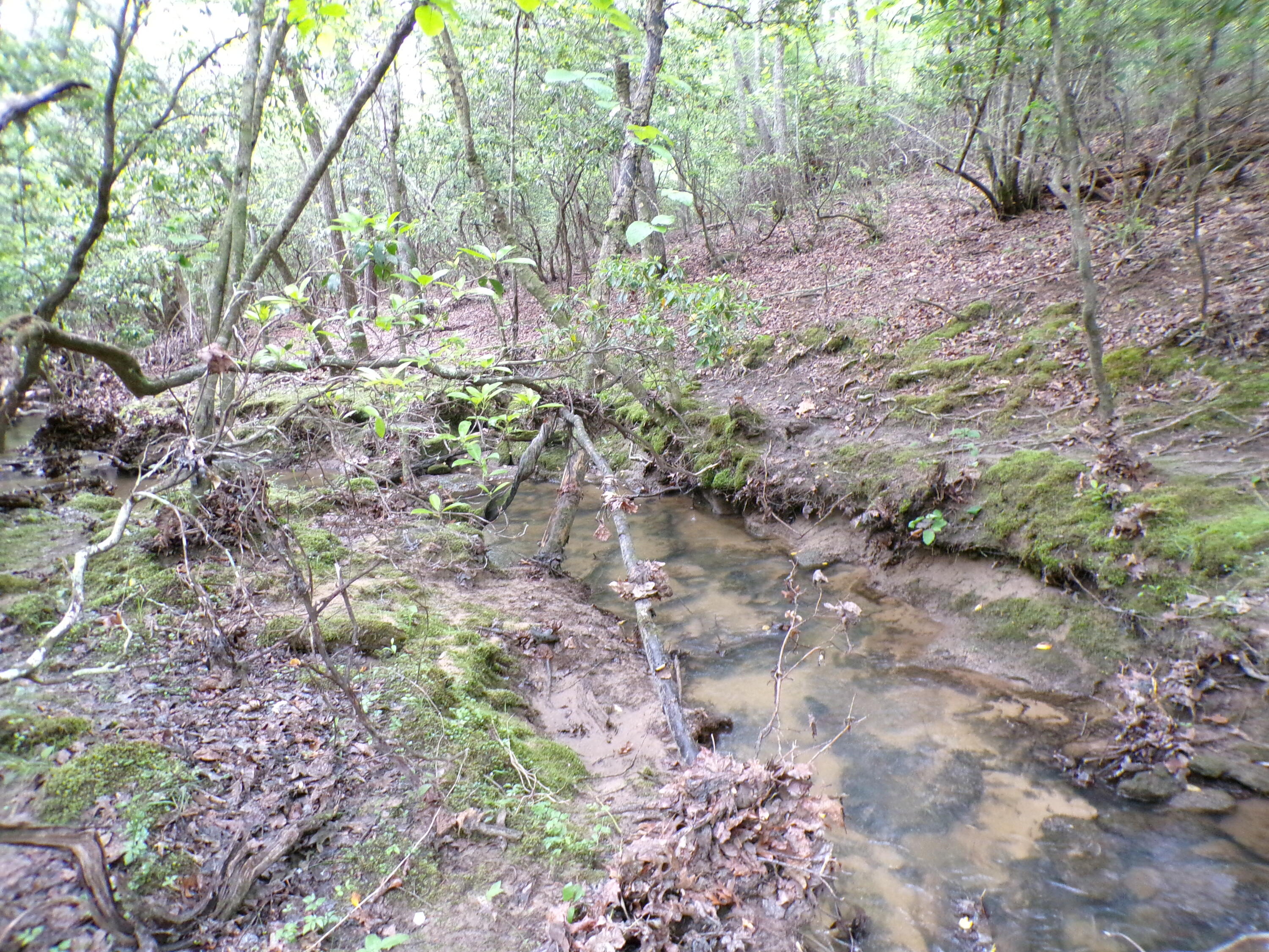 Goforth Road #10, Spencer, Tennessee image 29