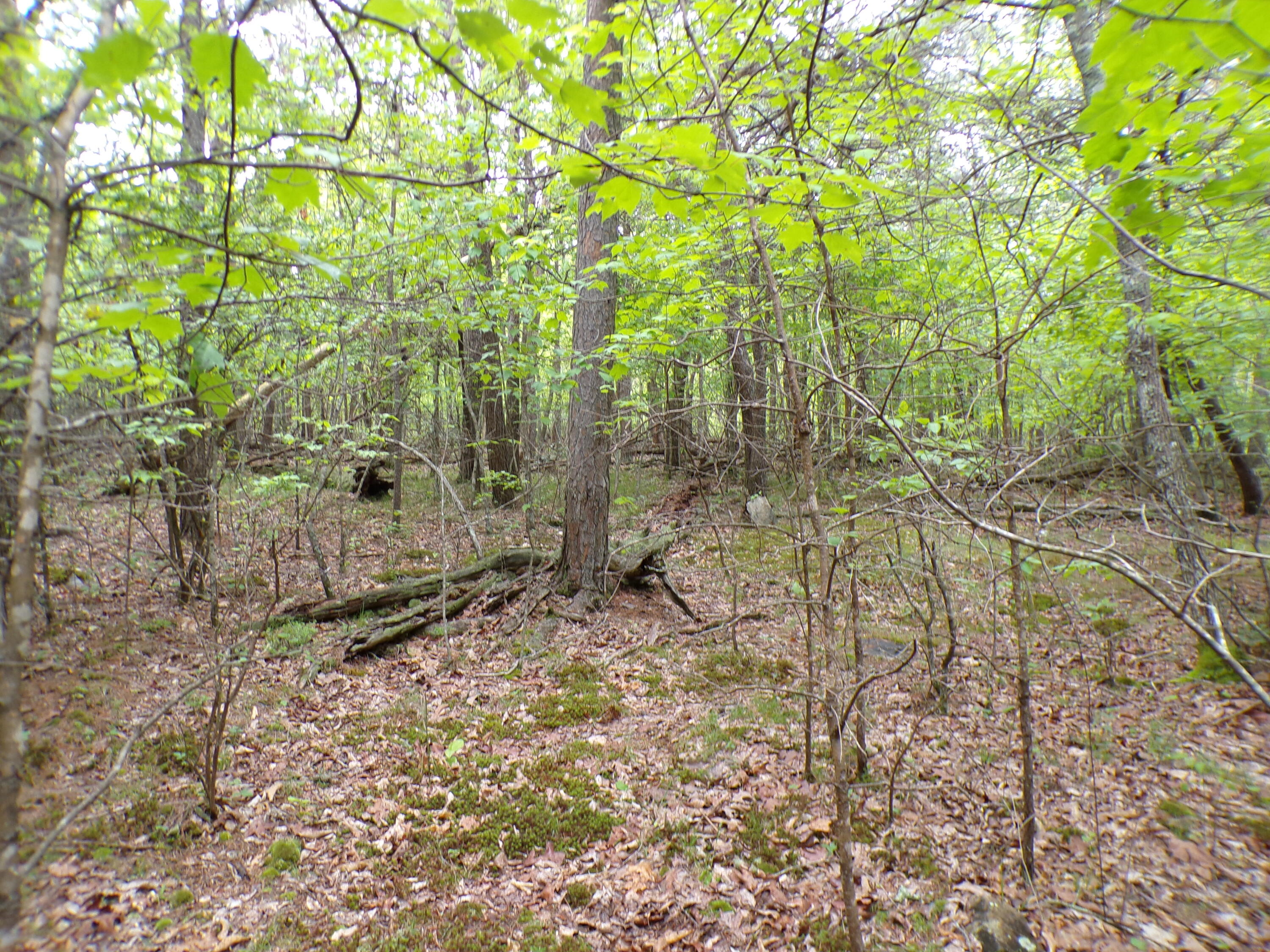 Goforth Road #10, Spencer, Tennessee image 5