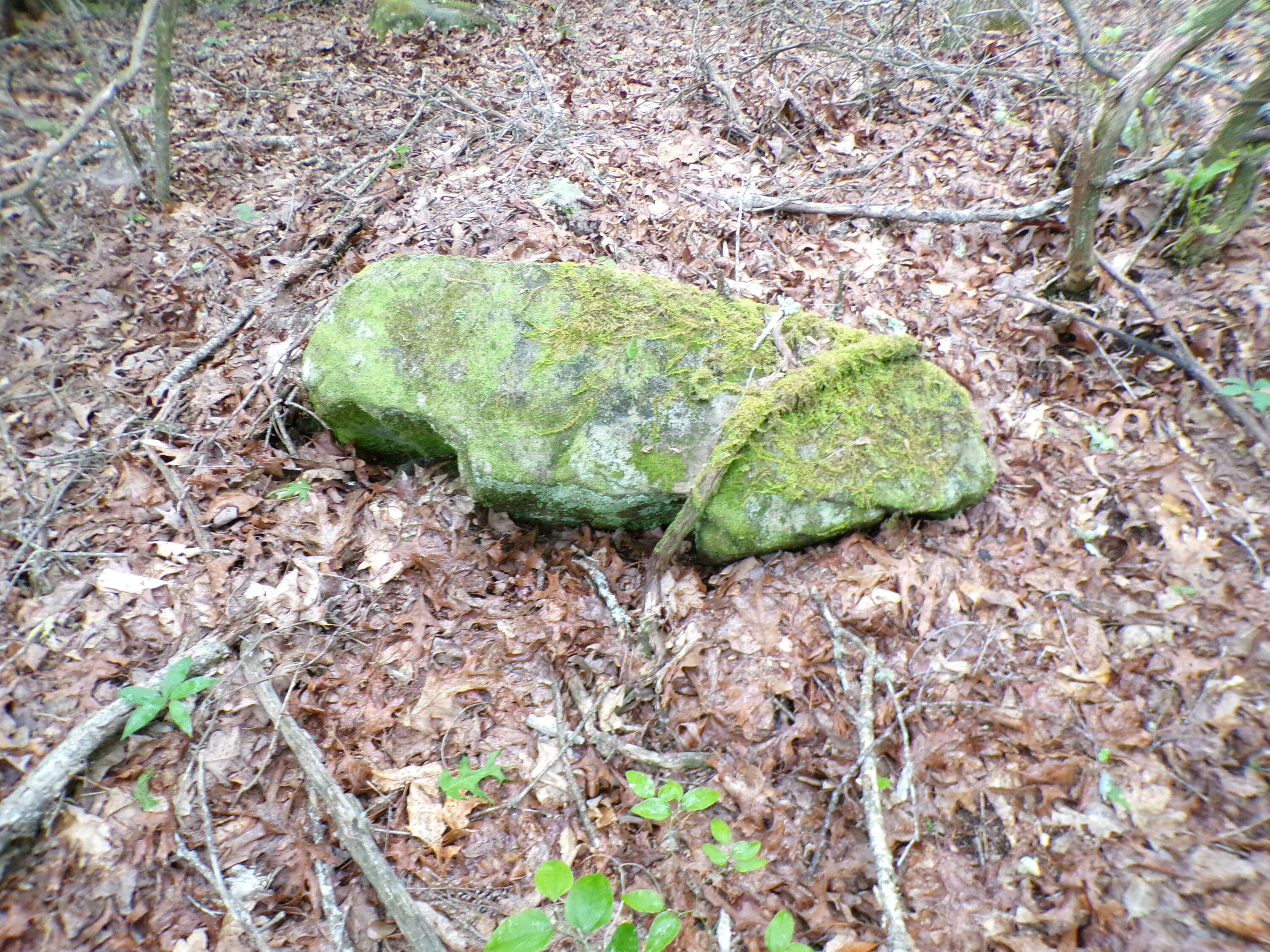Goforth Road #10, Spencer, Tennessee image 19