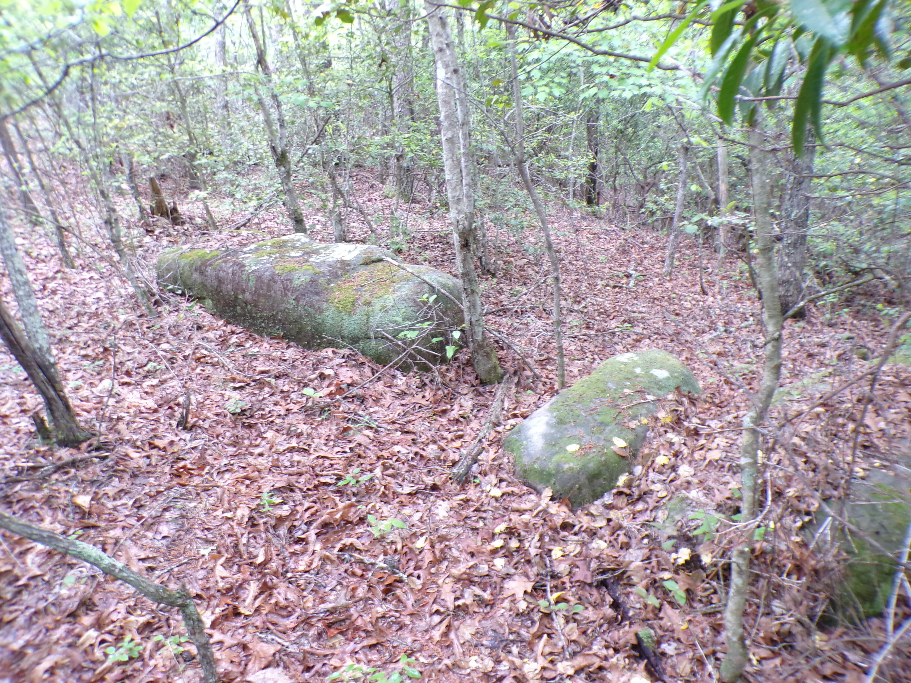 Goforth Road #10, Spencer, Tennessee image 34