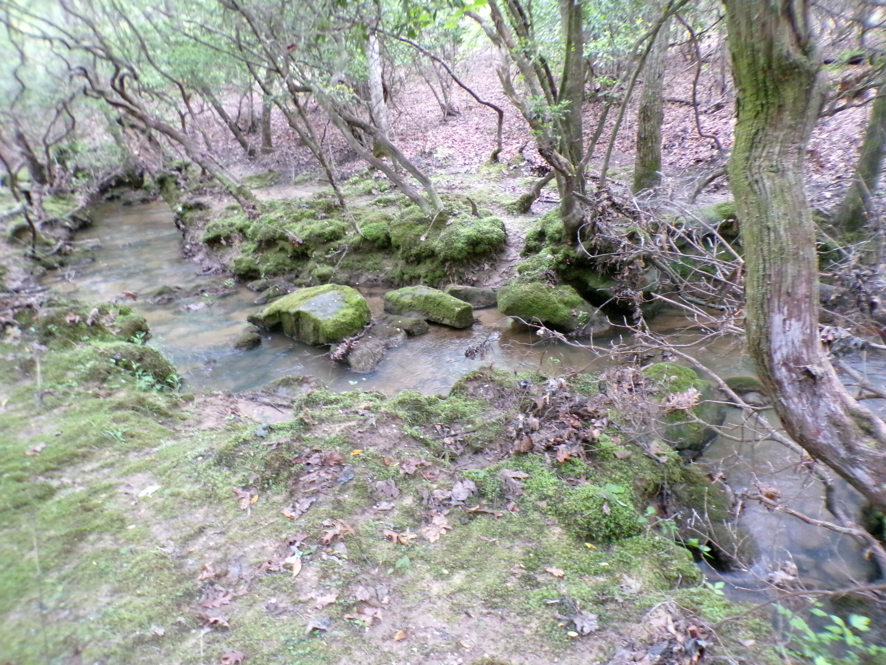 Goforth Road #10, Spencer, Tennessee image 23