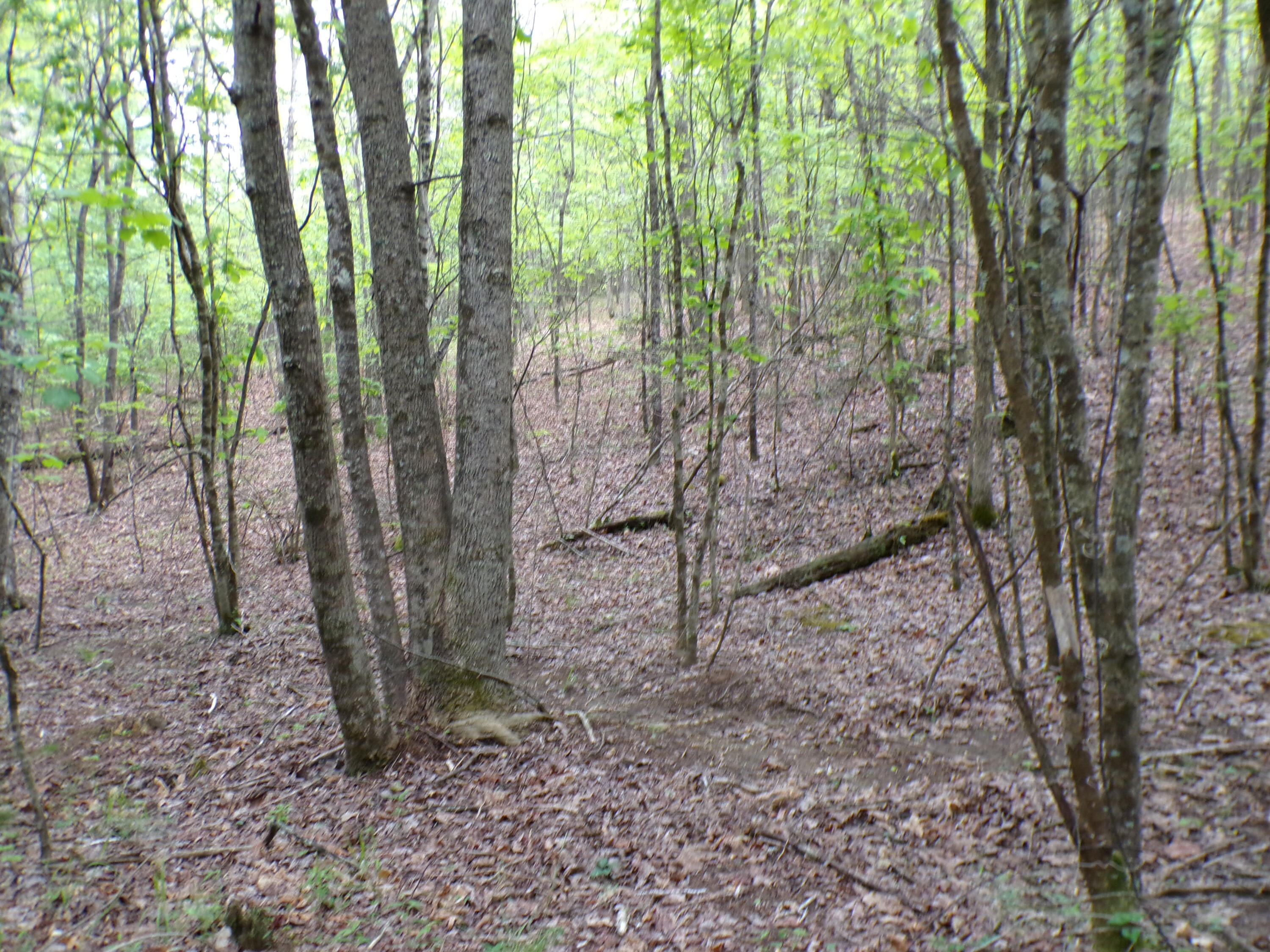 Goforth Road #10, Spencer, Tennessee image 16