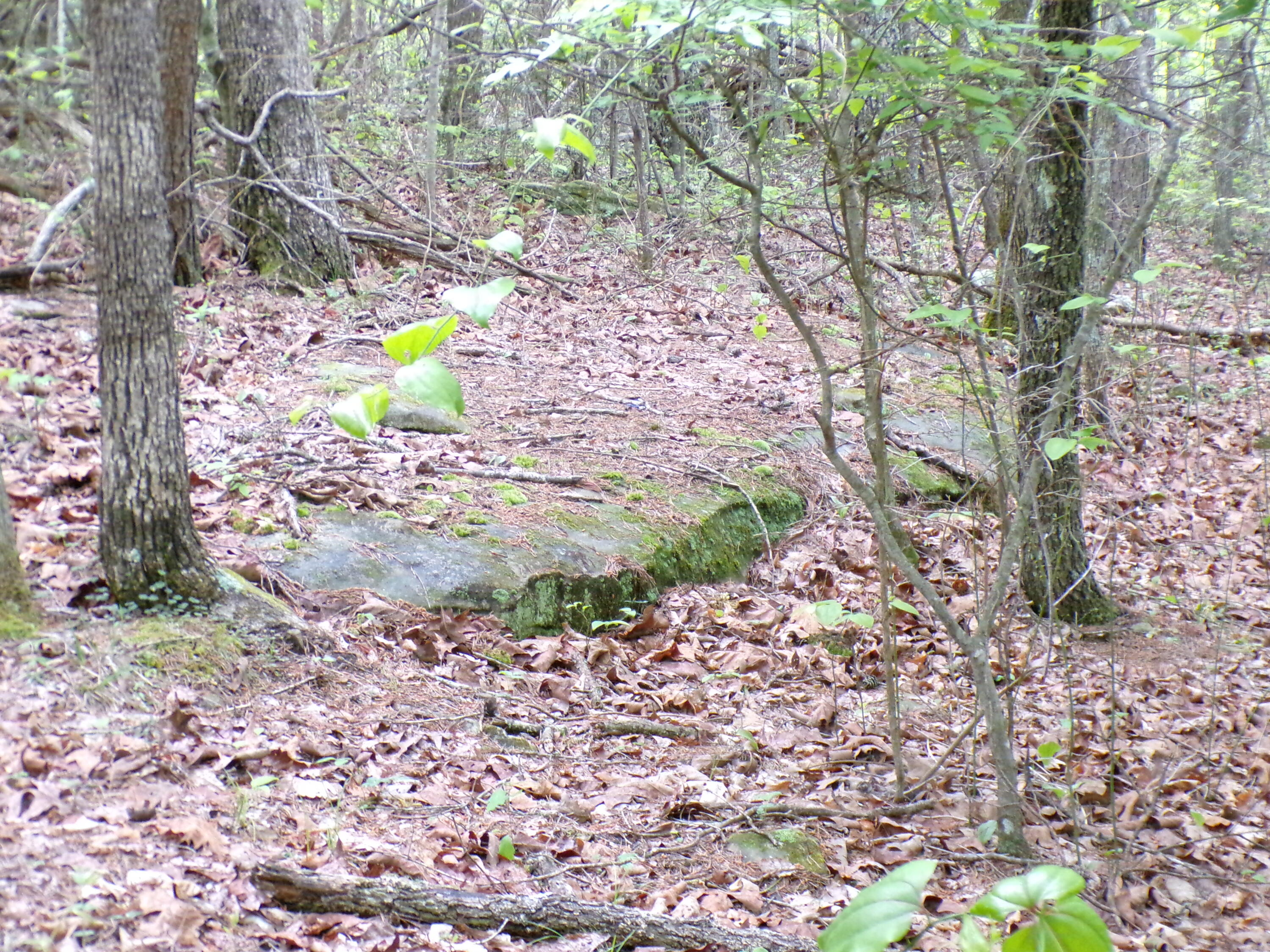 Goforth Road #10, Spencer, Tennessee image 6