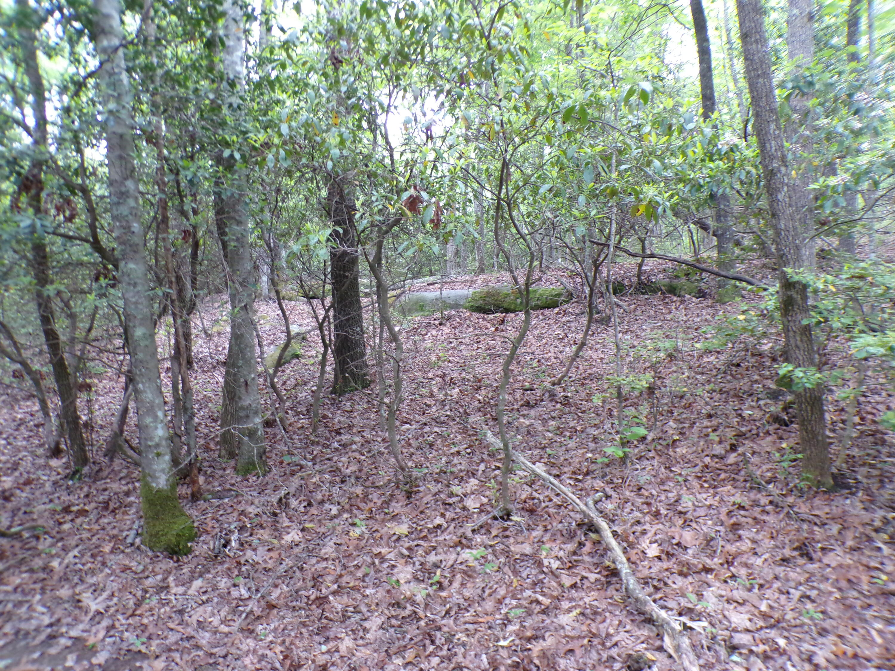 Goforth Road #10, Spencer, Tennessee image 18