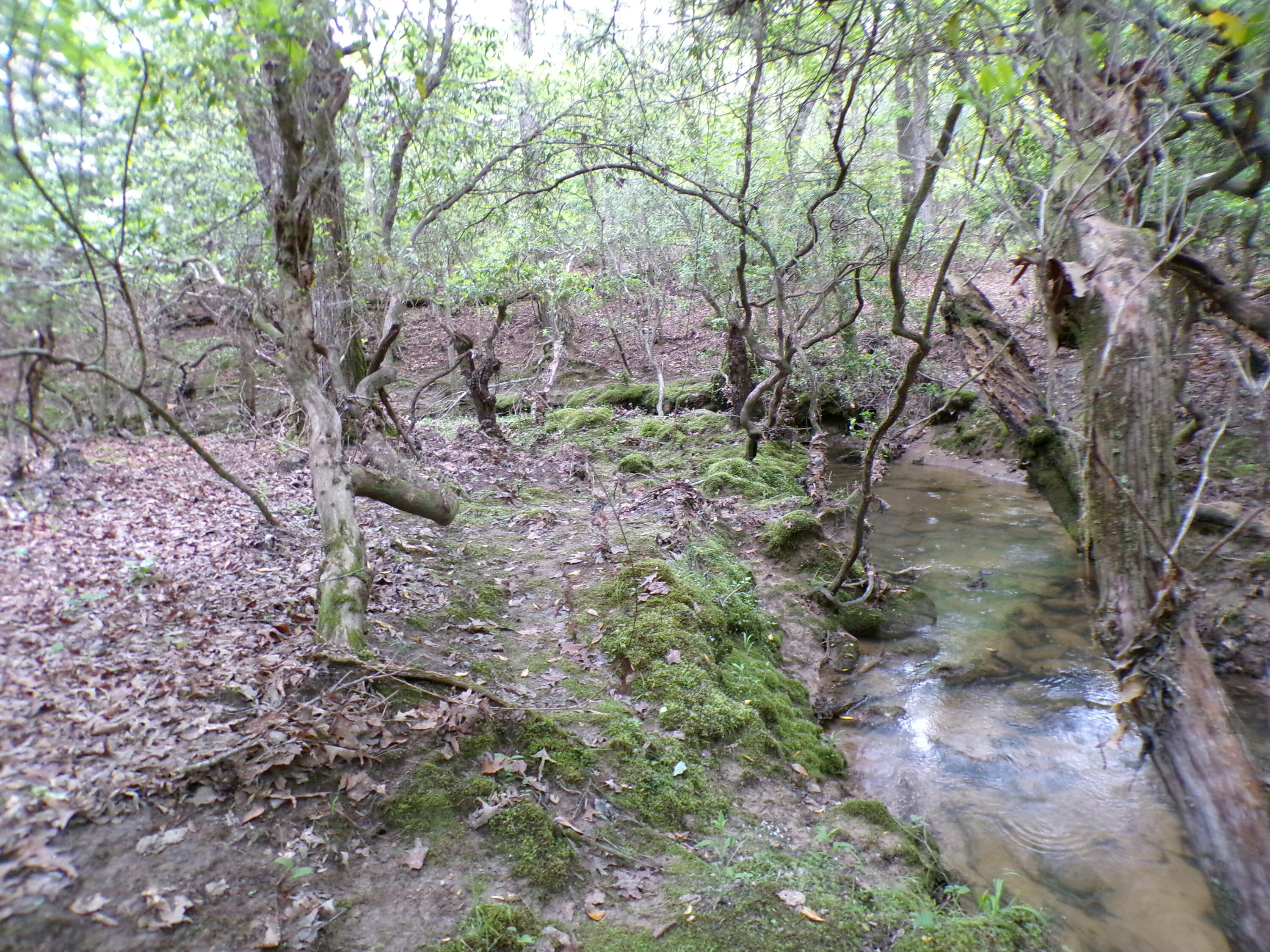 Goforth Road #10, Spencer, Tennessee image 26
