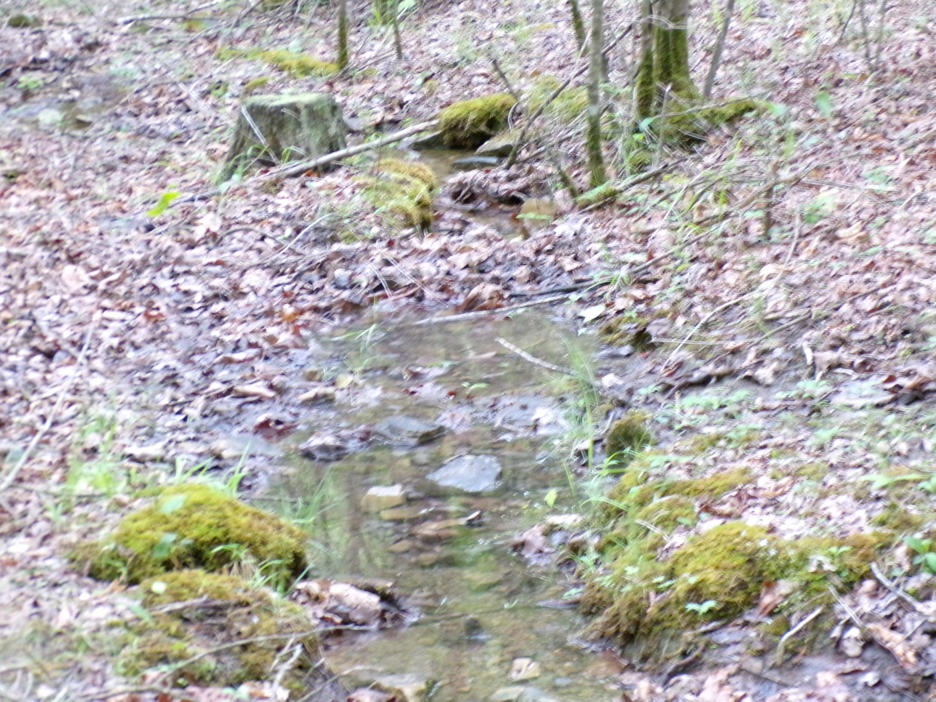 Goforth Road #10, Spencer, Tennessee image 13