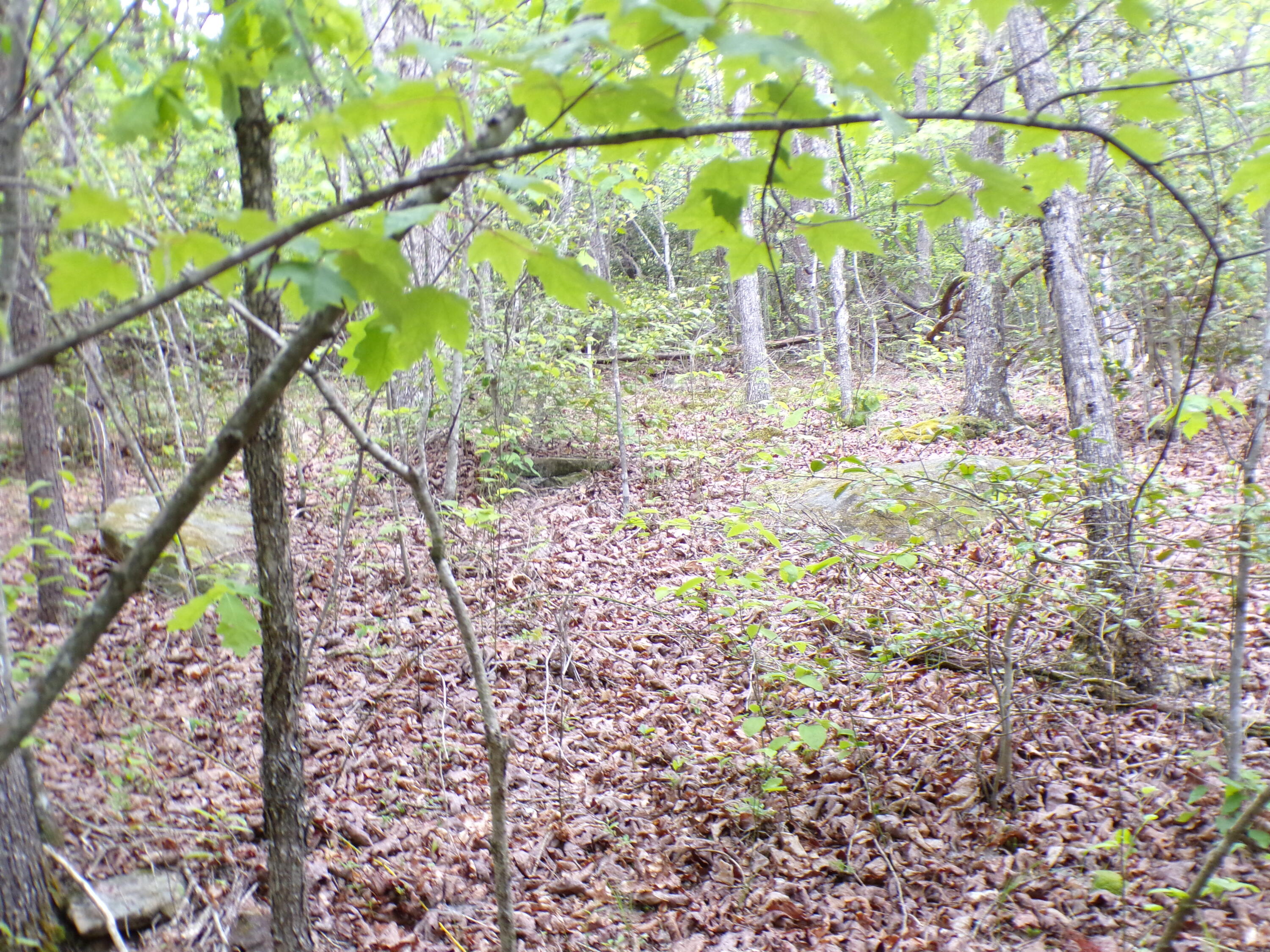 Goforth Road #10, Spencer, Tennessee image 11