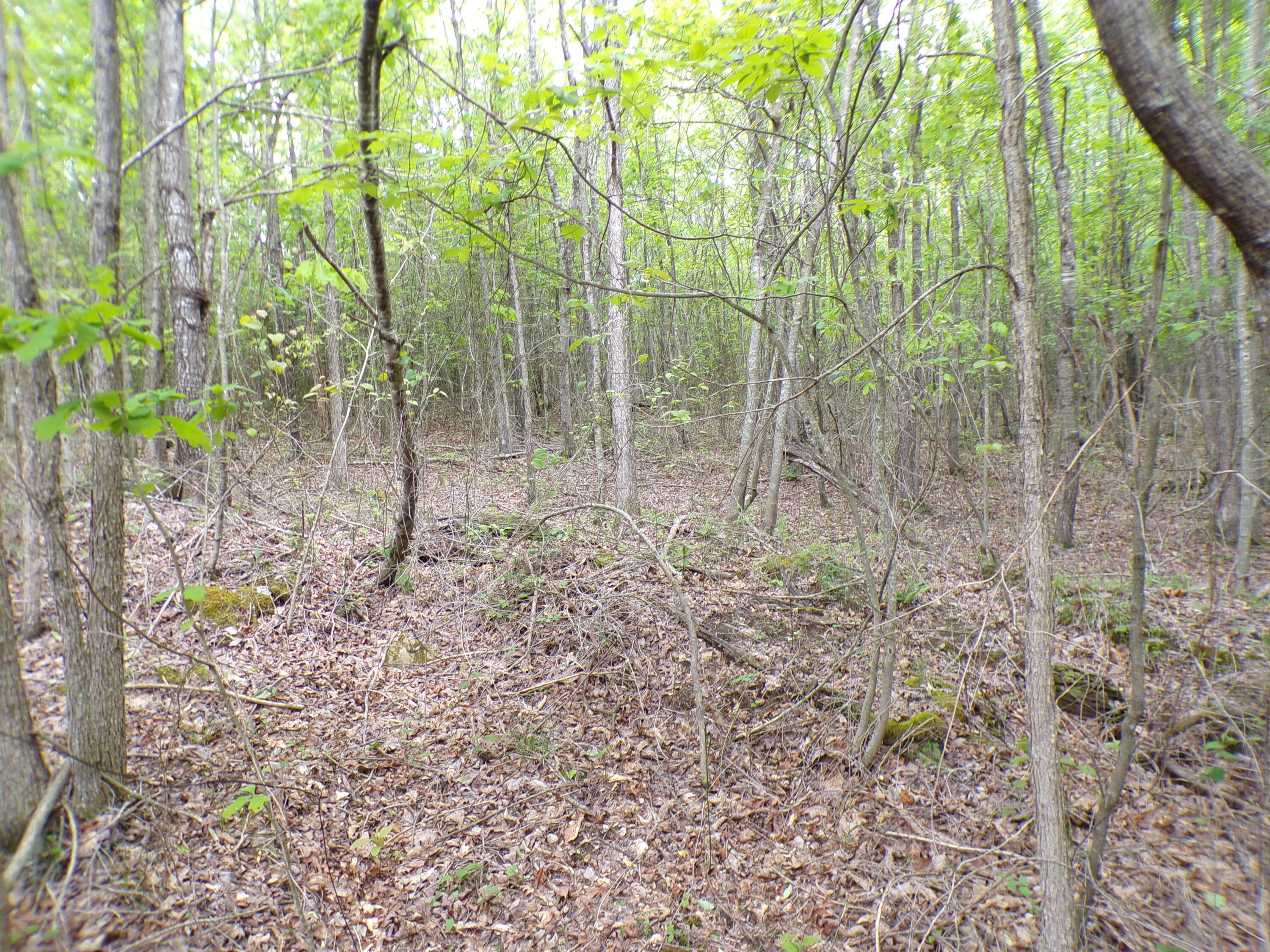 Goforth Road #10, Spencer, Tennessee image 1