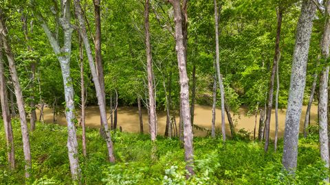 Tiny photo for Lot 35 River Ridge Drive, Dunlap, TN 37327 (MLS # 1522884)