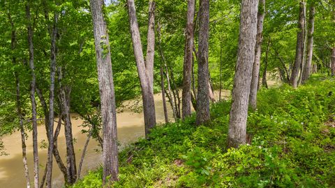 Tiny photo for Lot 35 River Ridge Drive, Dunlap, TN 37327 (MLS # 1522884)