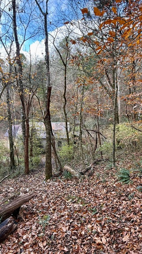 Photo of 020 Sinking Cove Road, Sherwood, TN 37376 (MLS # 1524374)
