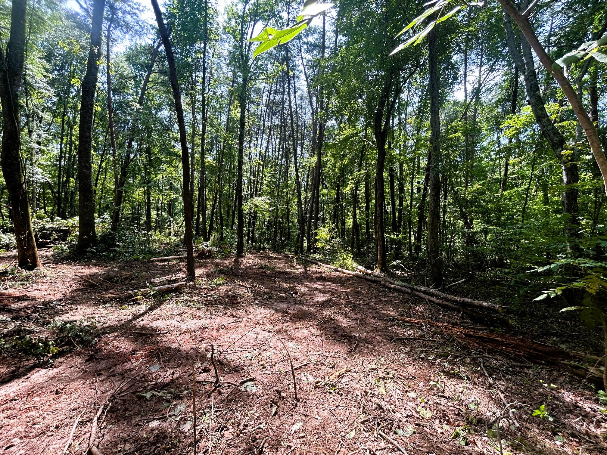 Tract 5 Pleasant Hill Road