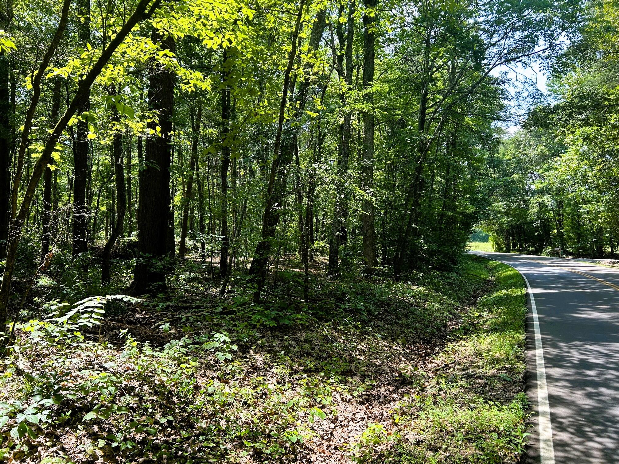 Tract 5 Pleasant Hill Road
