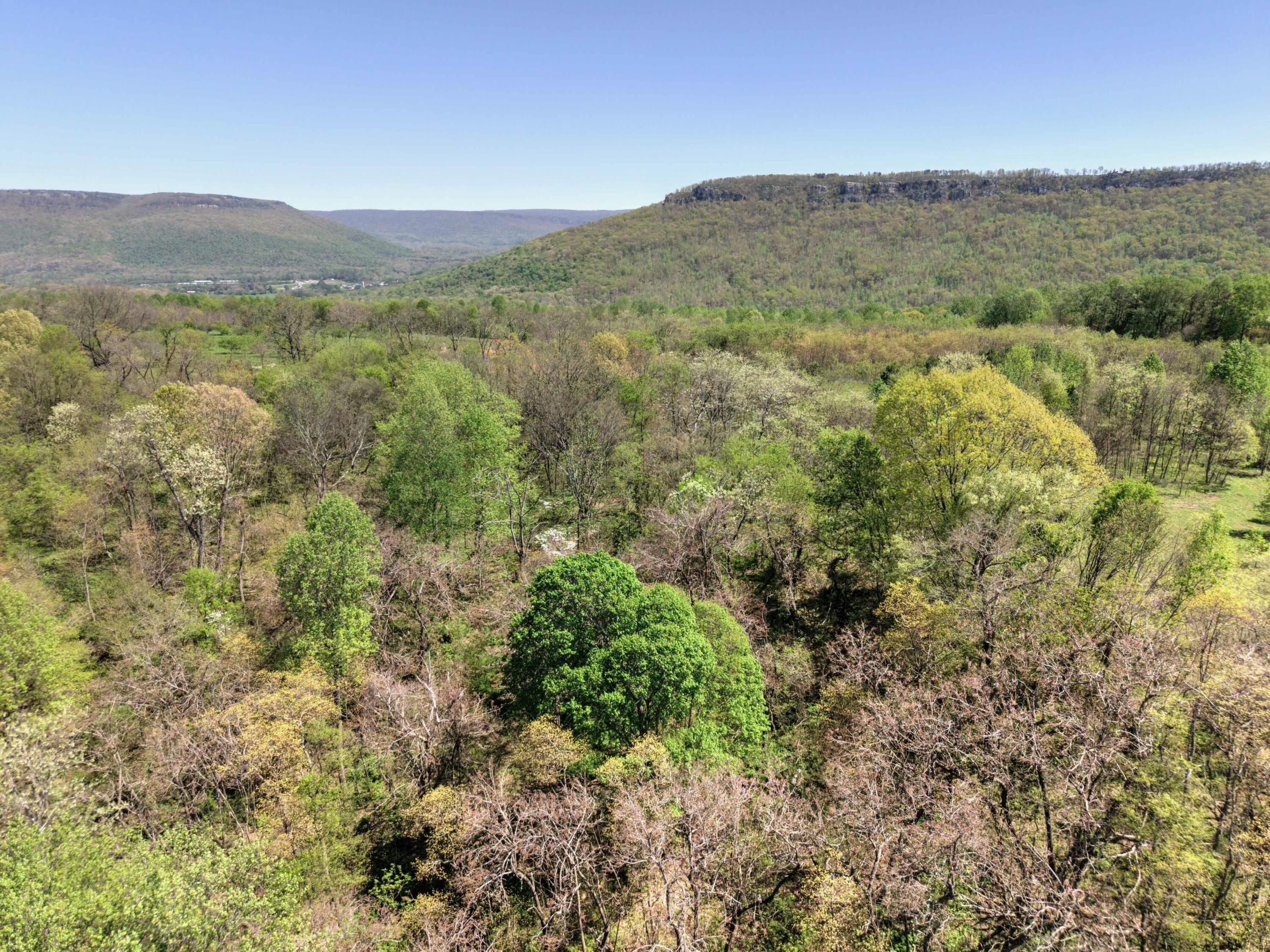 10 Acres Cr- 792 8-9, Flat Rock, Alabama image 11