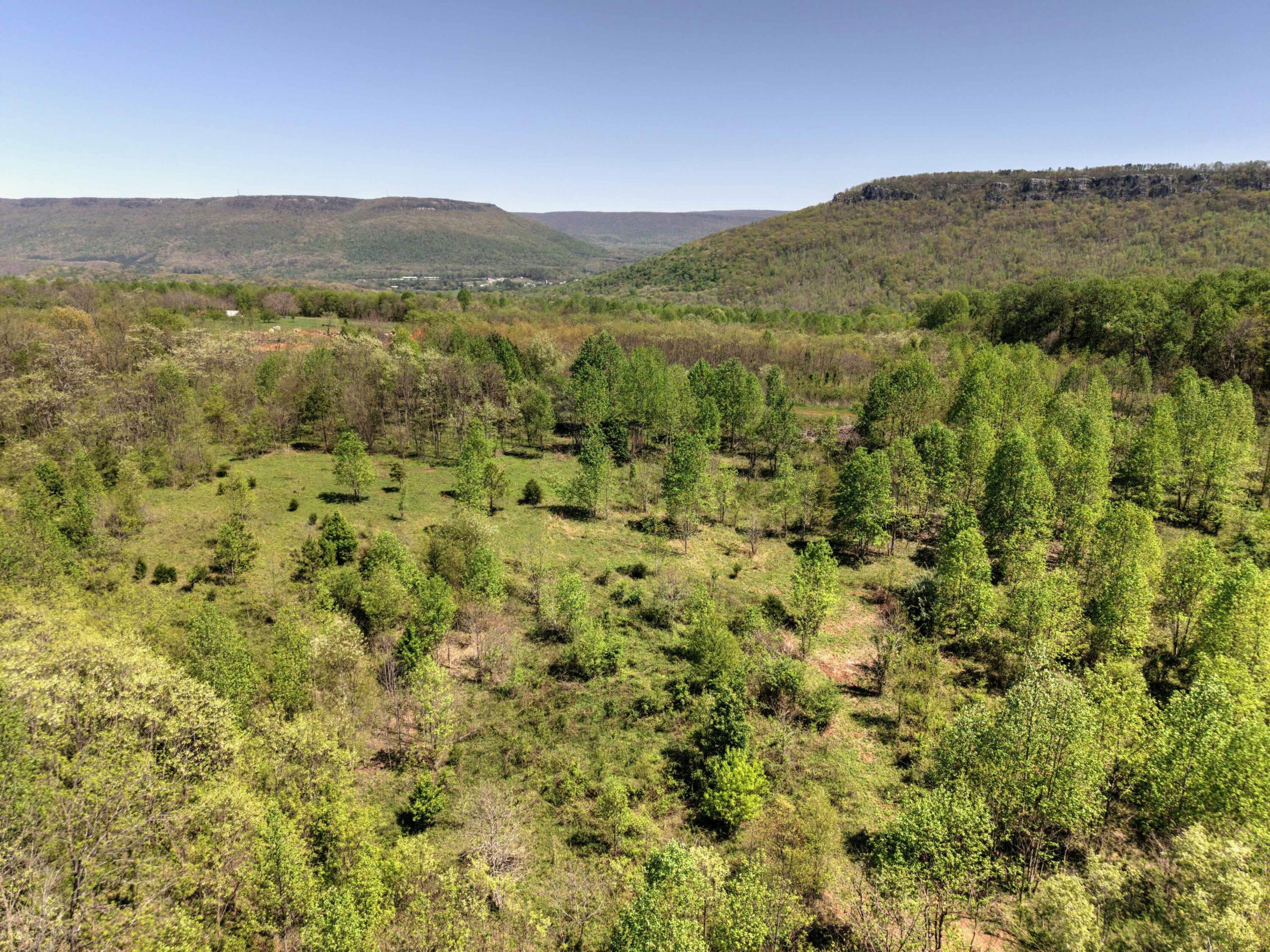 10 Acres Cr- 792 8-9, Flat Rock, Alabama image 9