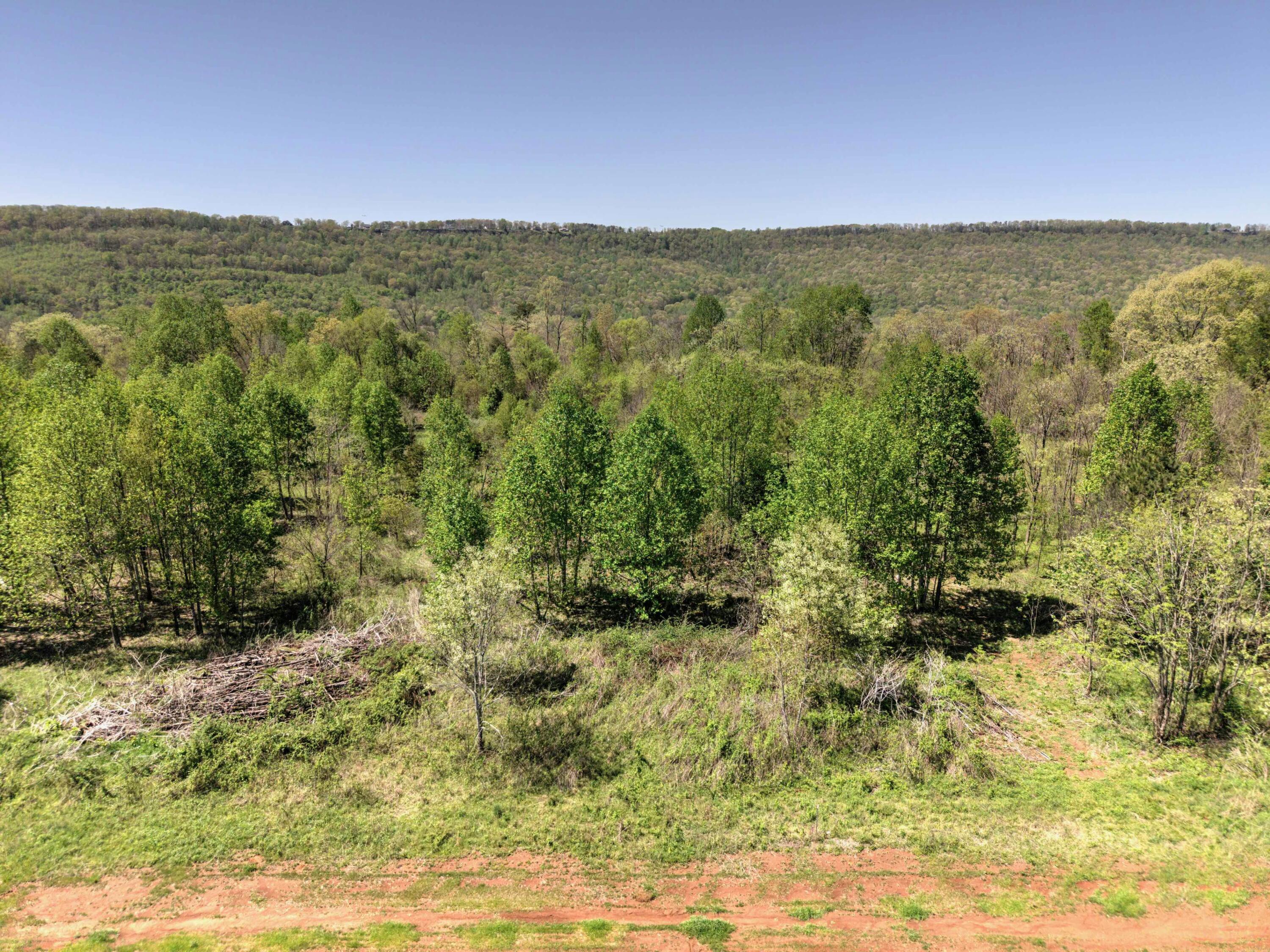 10 Acres Cr- 792 8-9, Flat Rock, Alabama image 4
