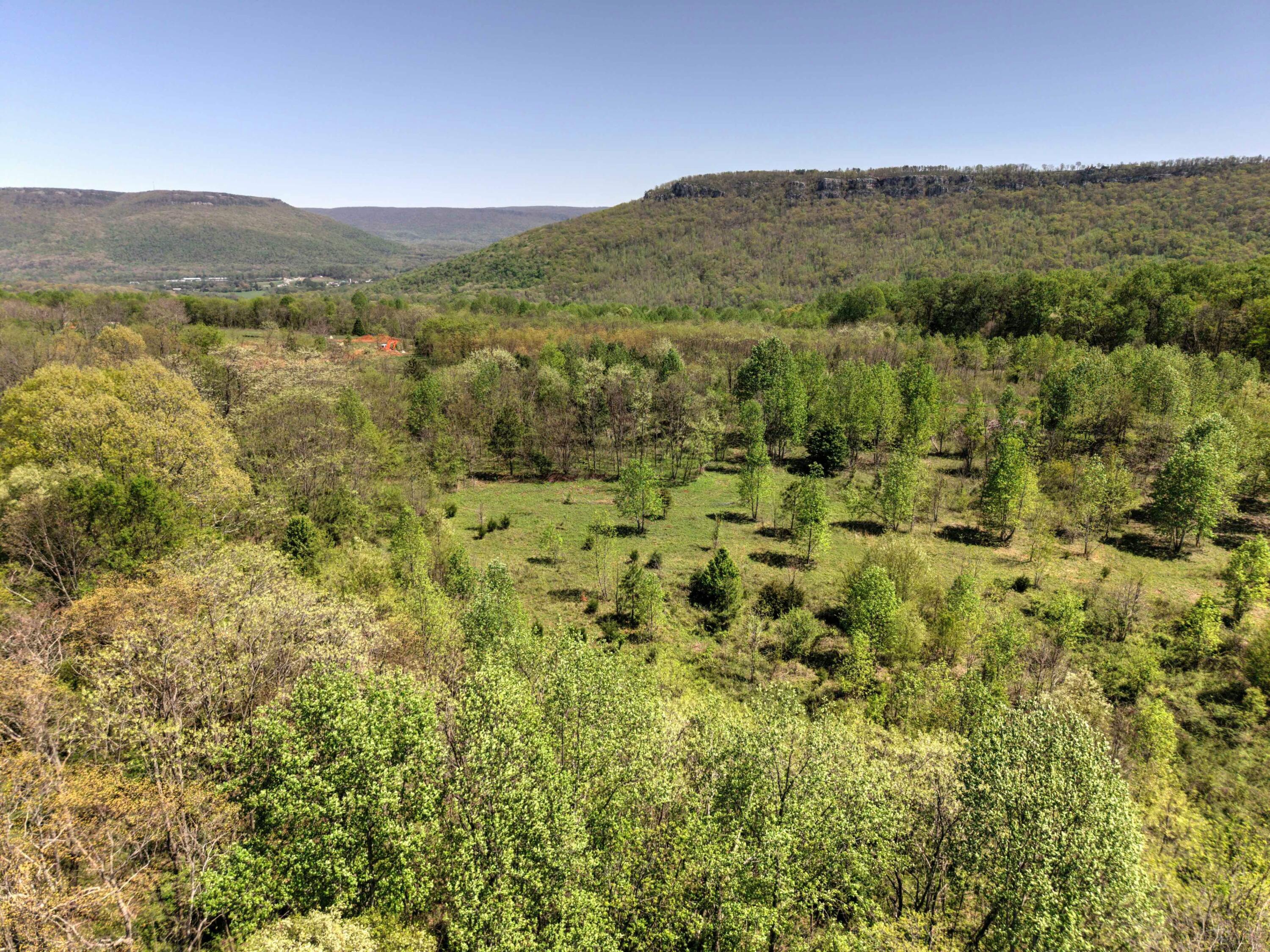 10 Acres Cr- 792 8-9, Flat Rock, Alabama image 10
