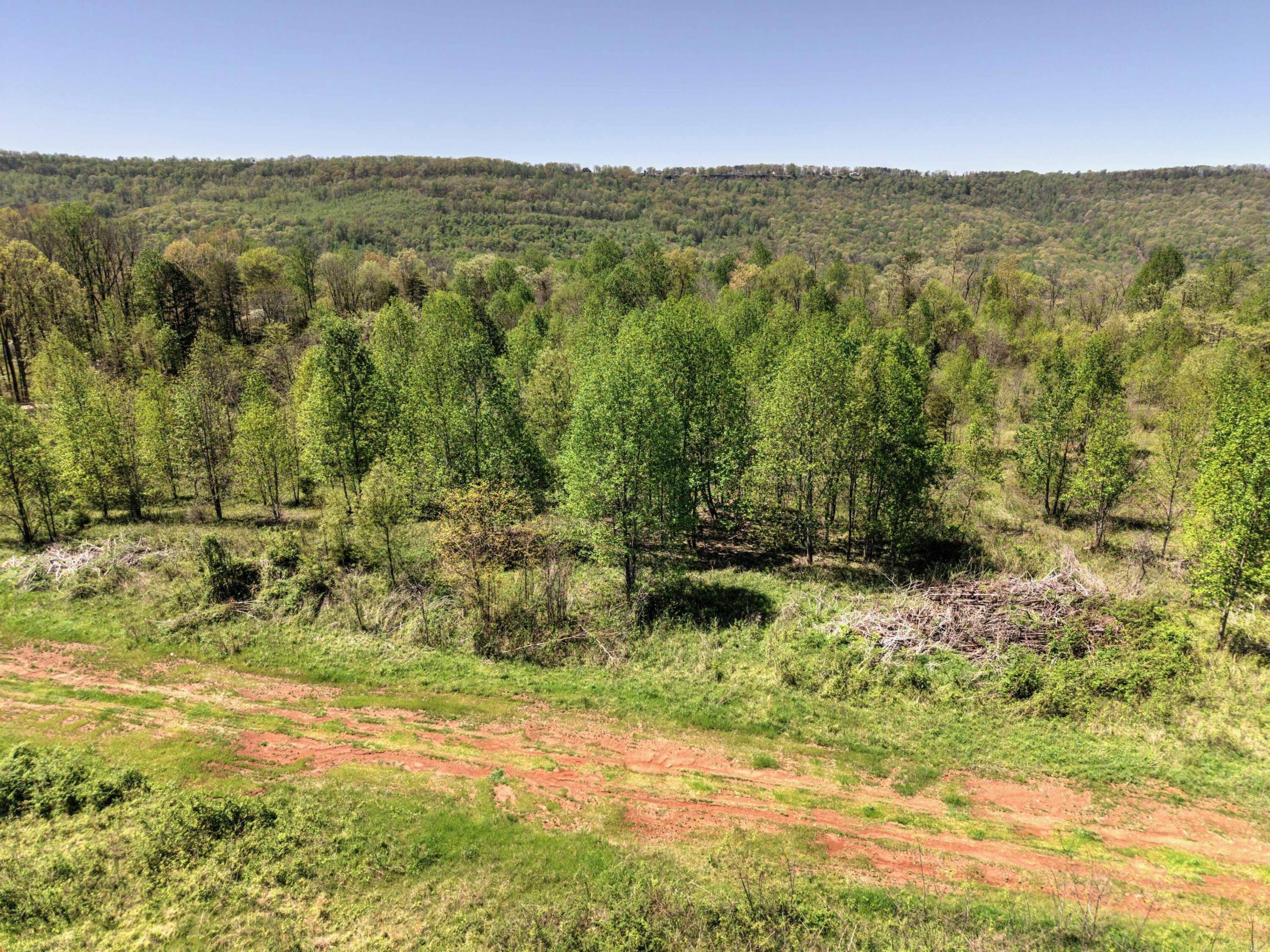 10 Acres Cr- 792 8-9, Flat Rock, Alabama image 3