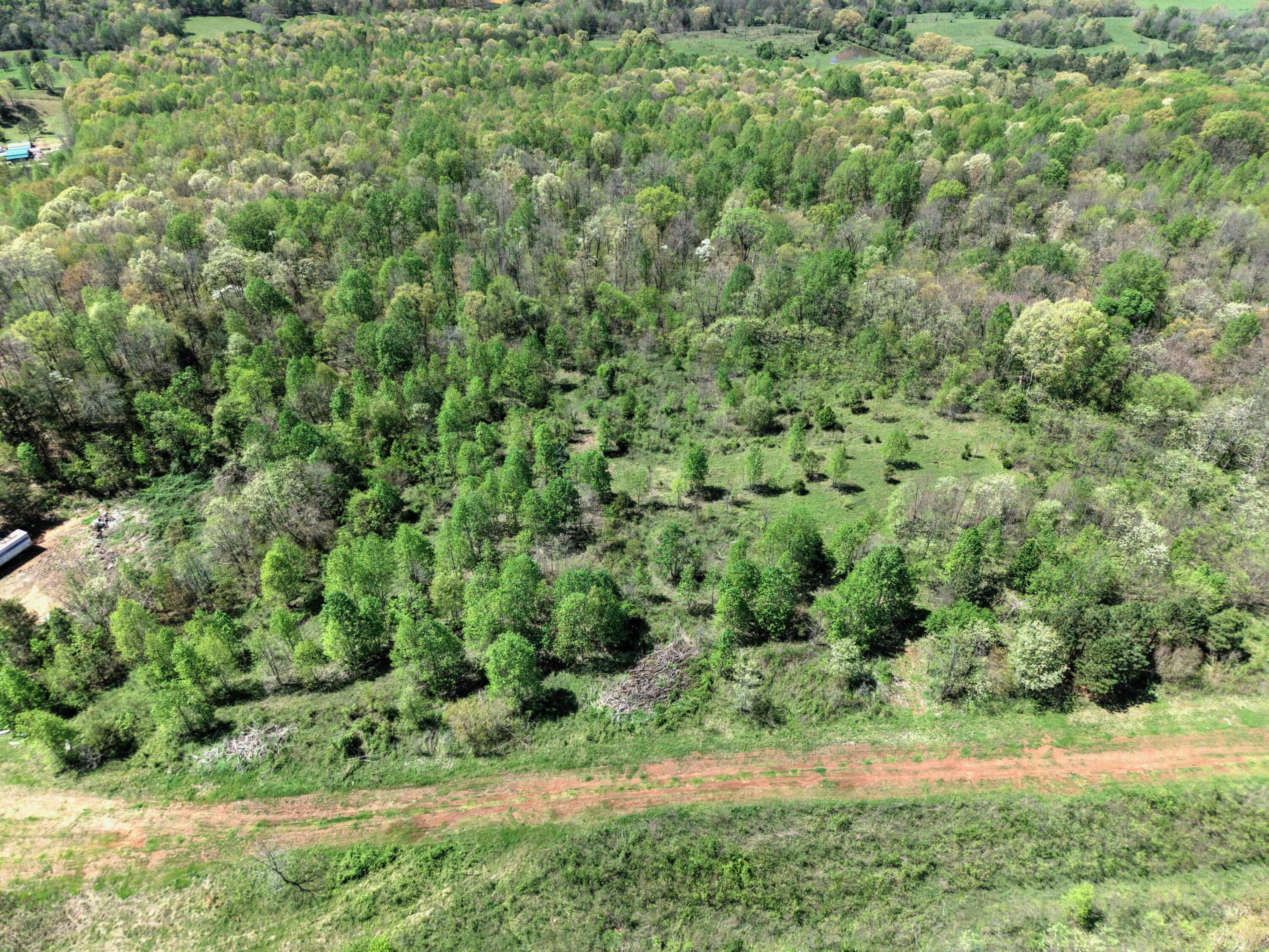10 Acres Cr- 792 8-9, Flat Rock, Alabama image 14
