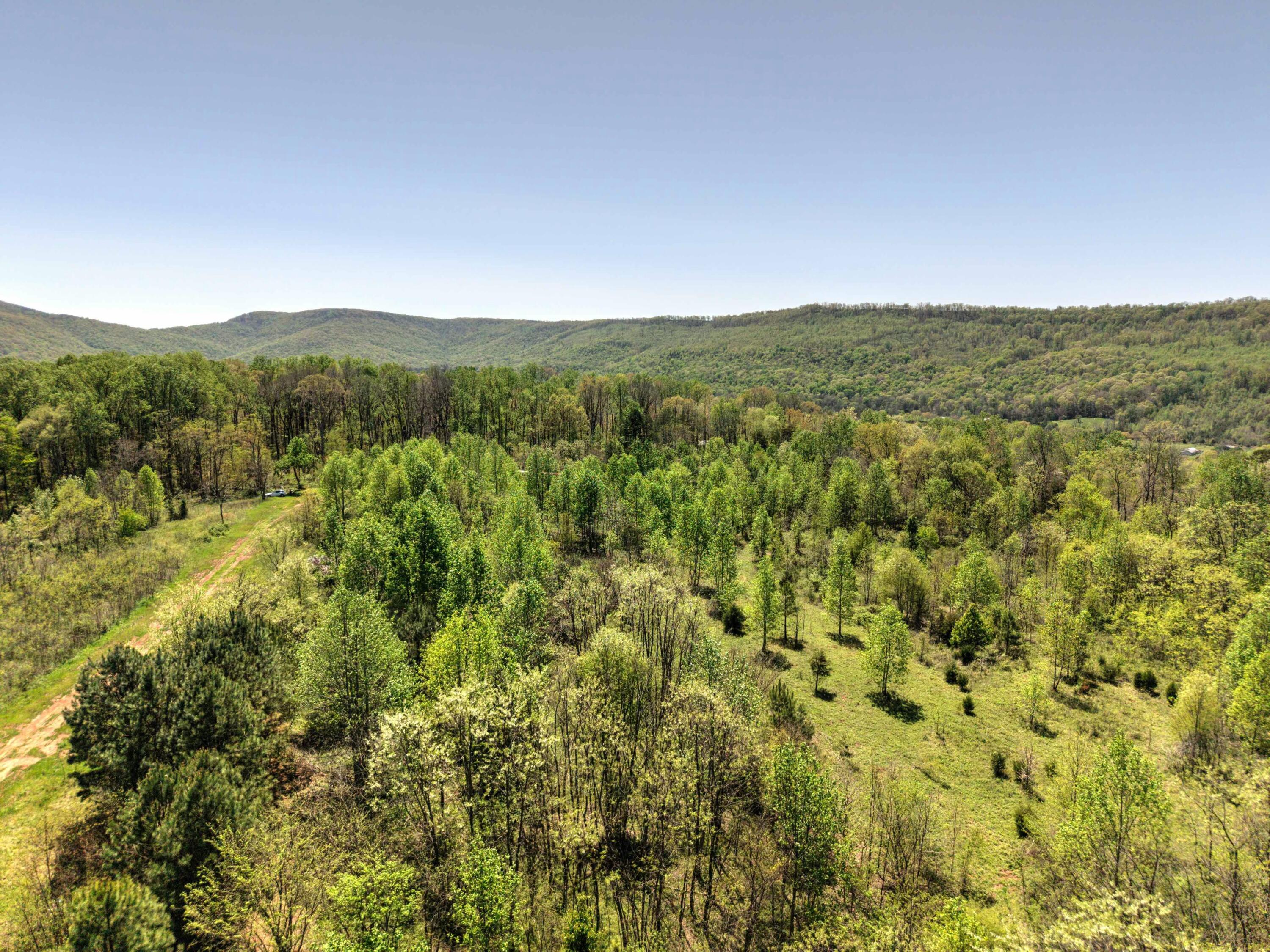 10 Acres Cr- 792 8-9, Flat Rock, Alabama image 7