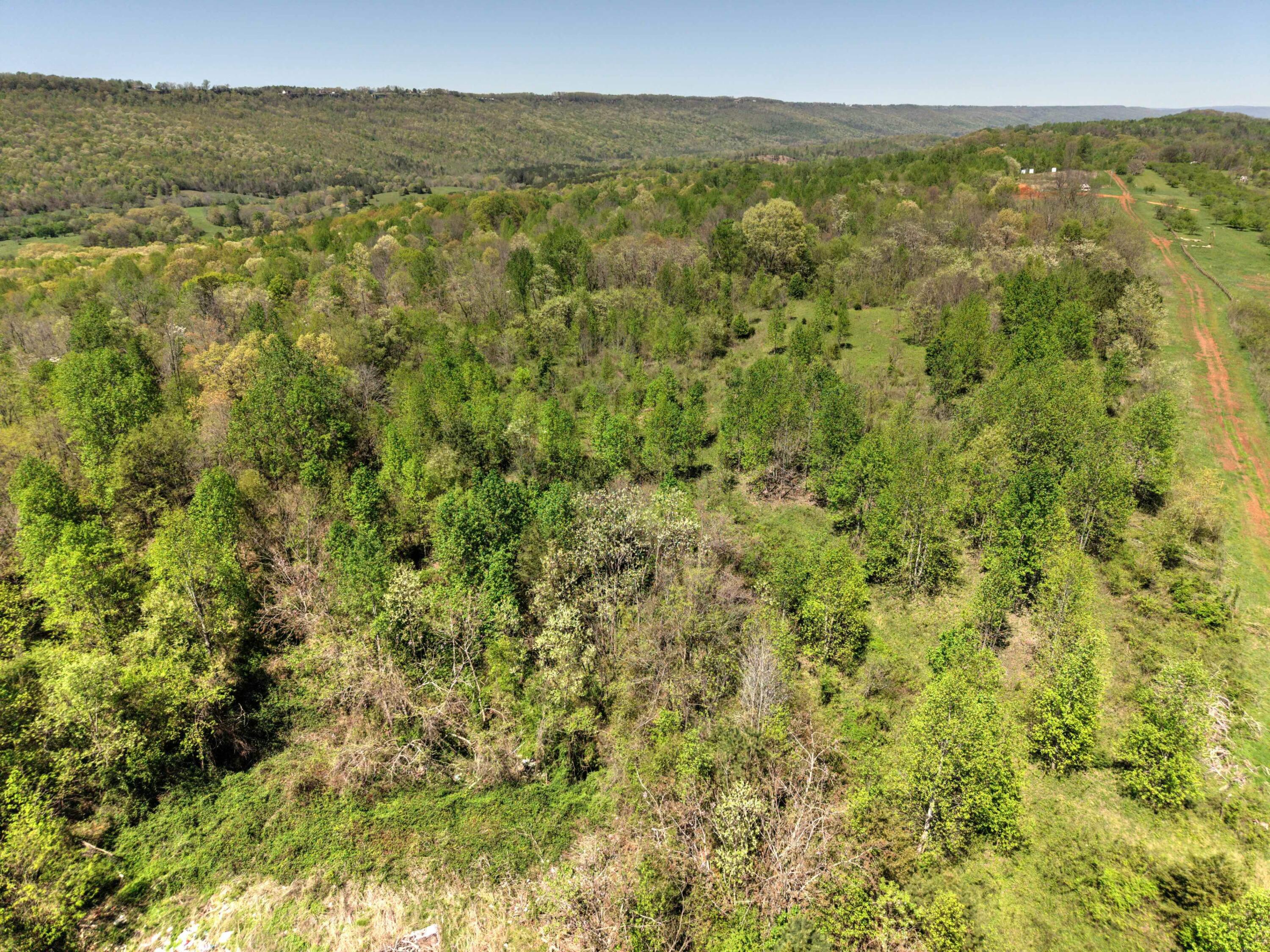 10 Acres Cr- 792 8-9, Flat Rock, Alabama image 12