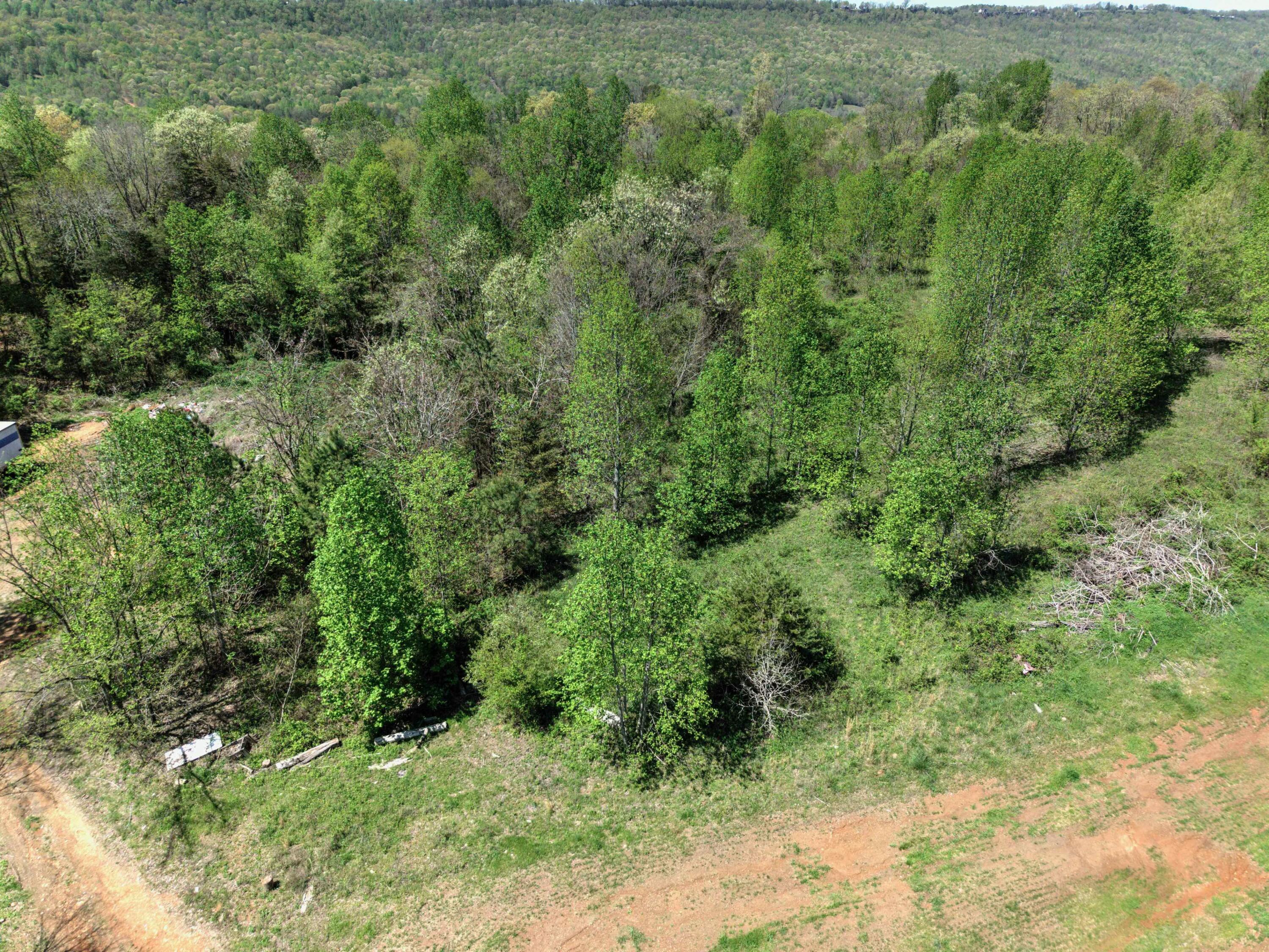 10 Acres Cr- 792 8-9, Flat Rock, Alabama image 1