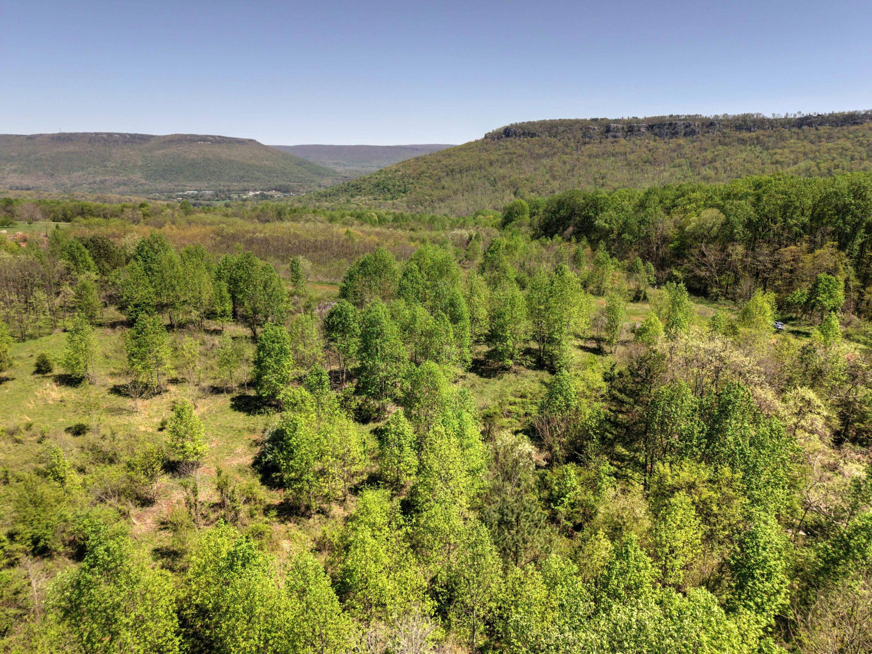 10 Acres Cr- 792 8-9, Flat Rock, Alabama image 8