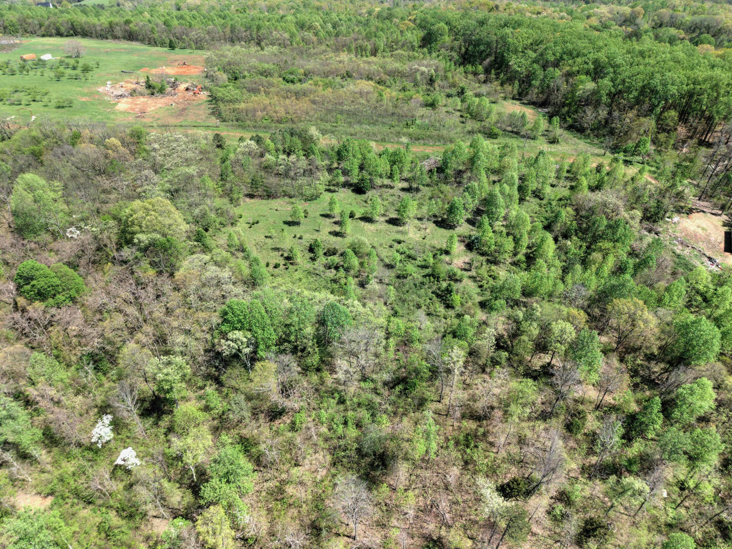10 Acres Cr- 792 8-9, Flat Rock, Alabama image 16