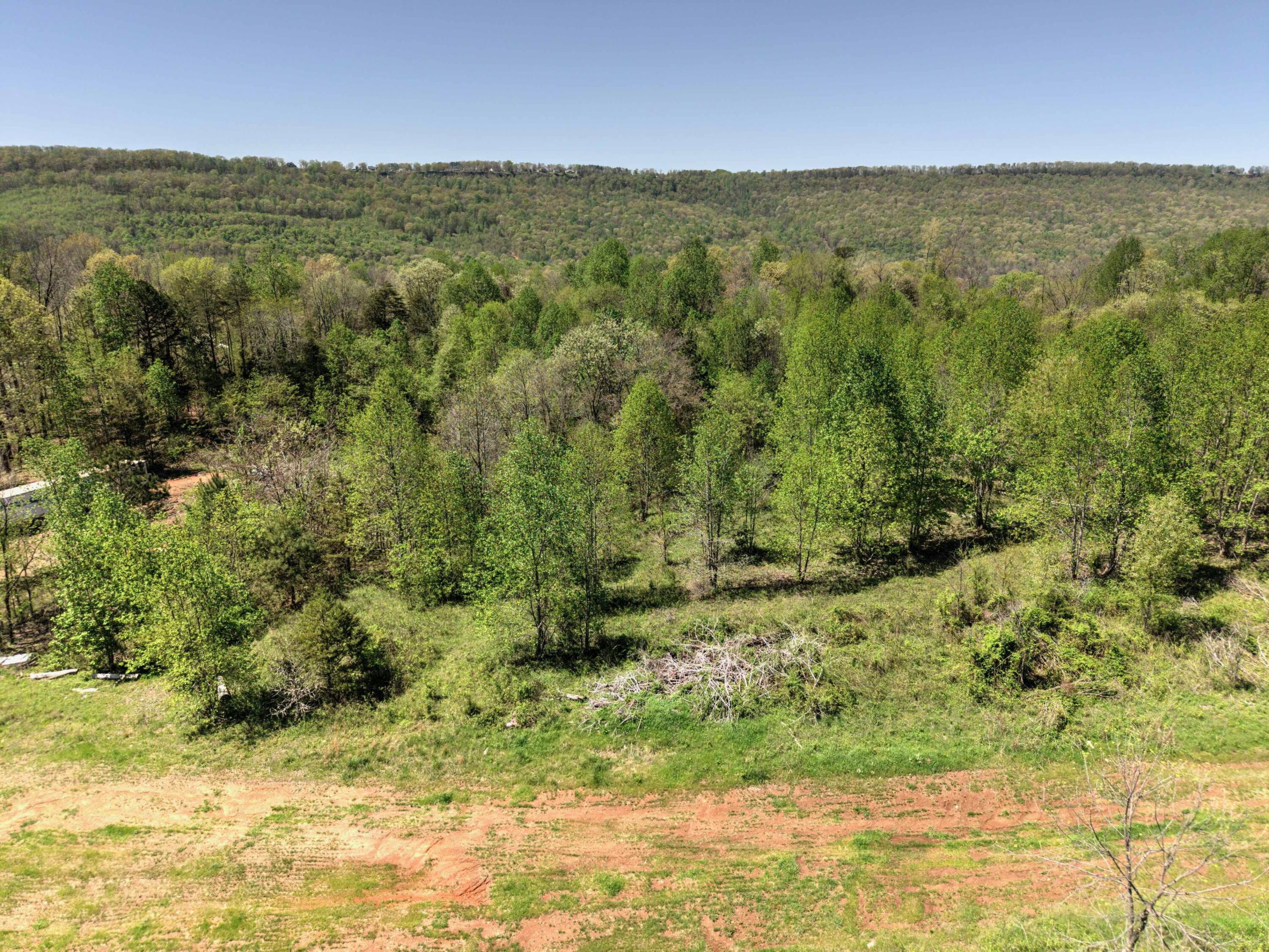 10 Acres Cr- 792 8-9, Flat Rock, Alabama image 2