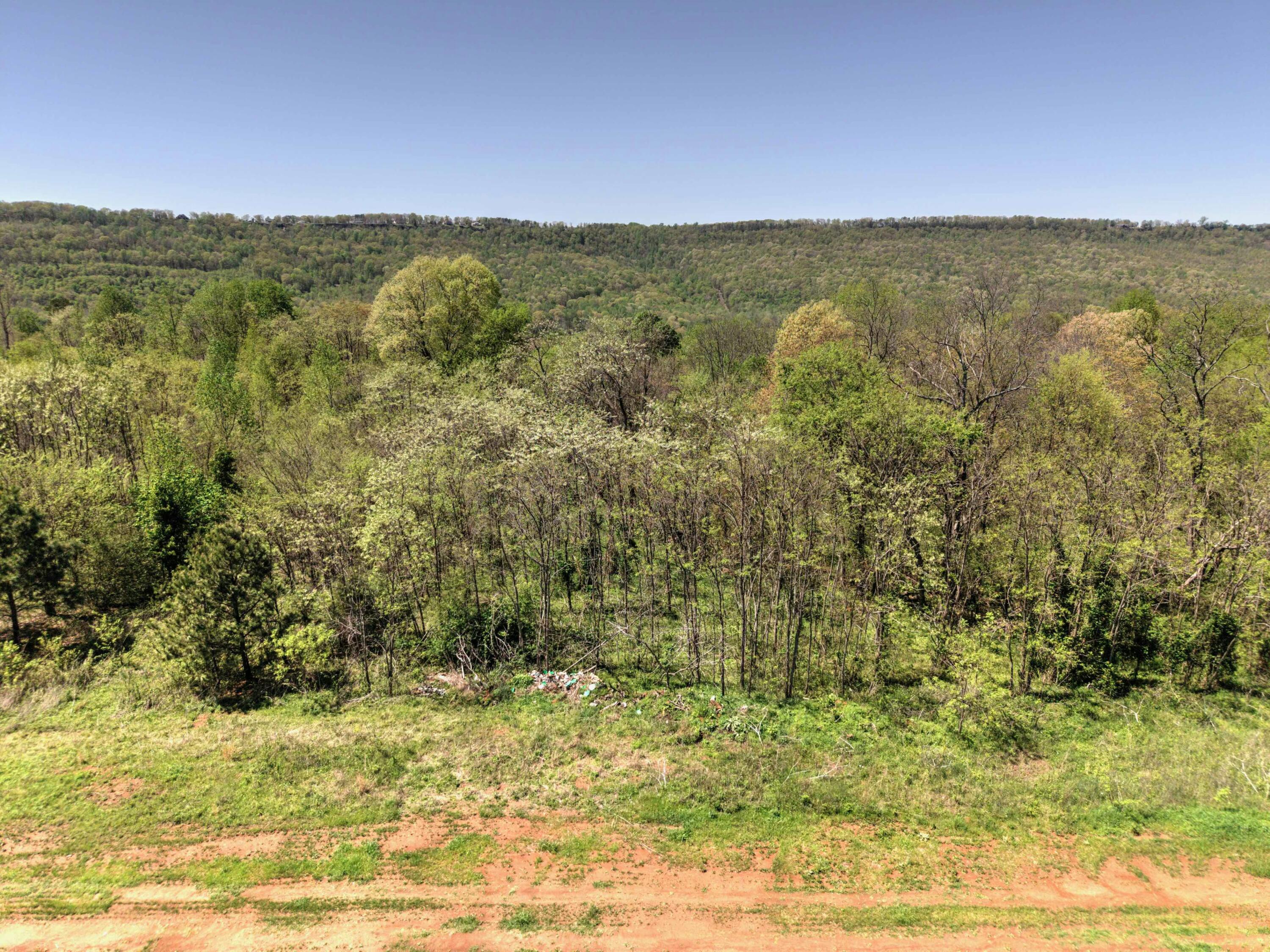 10 Acres Cr- 792 8-9, Flat Rock, Alabama image 6