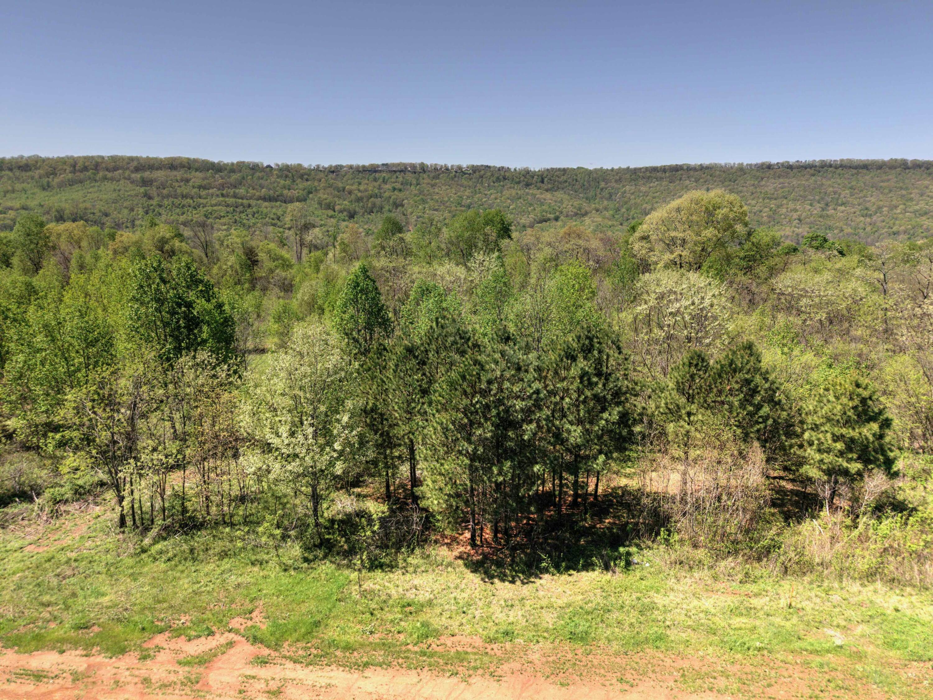 10 Acres Cr- 792 8-9, Flat Rock, Alabama image 5