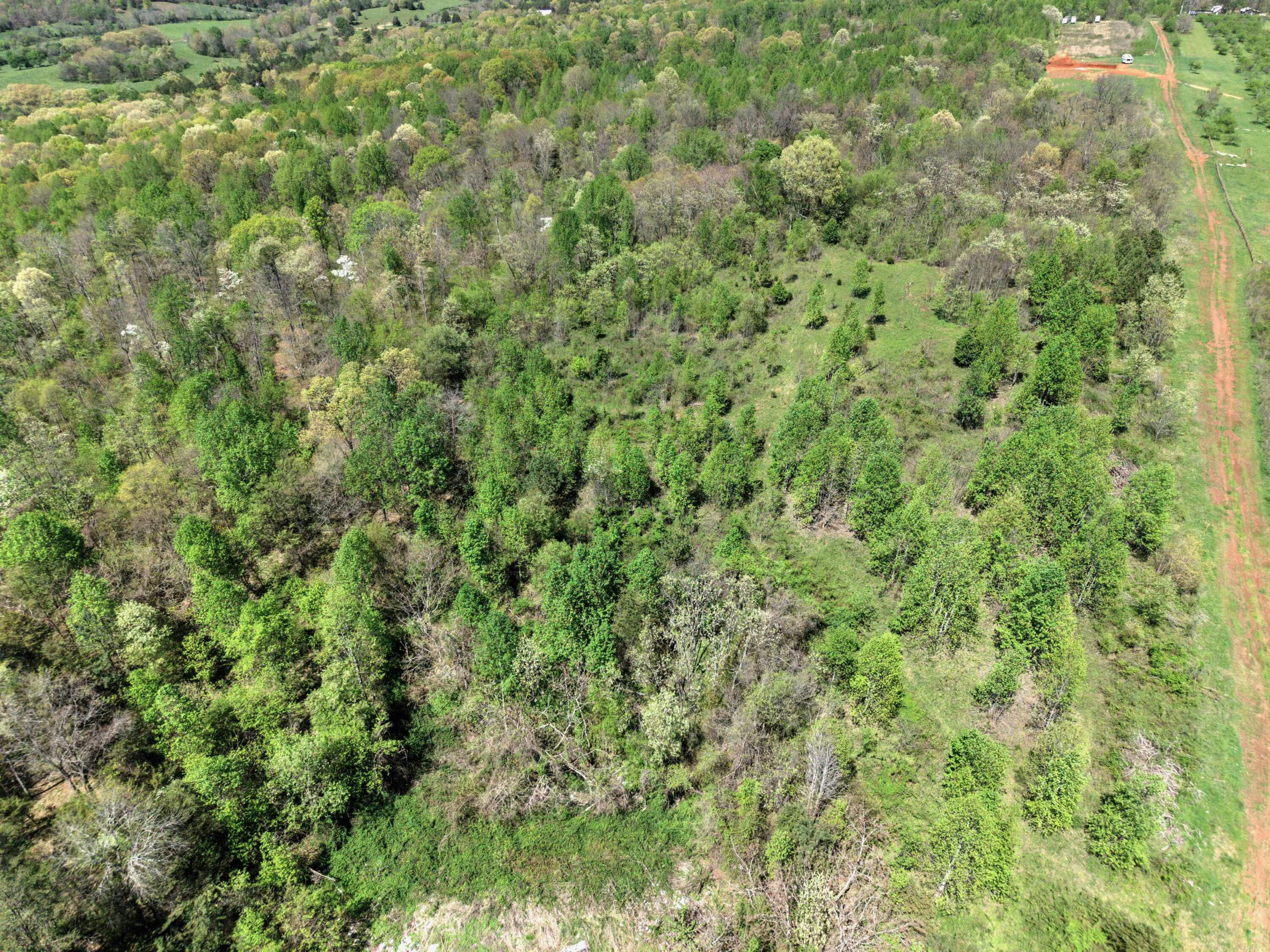 10 Acres Cr- 792 8-9, Flat Rock, Alabama image 13