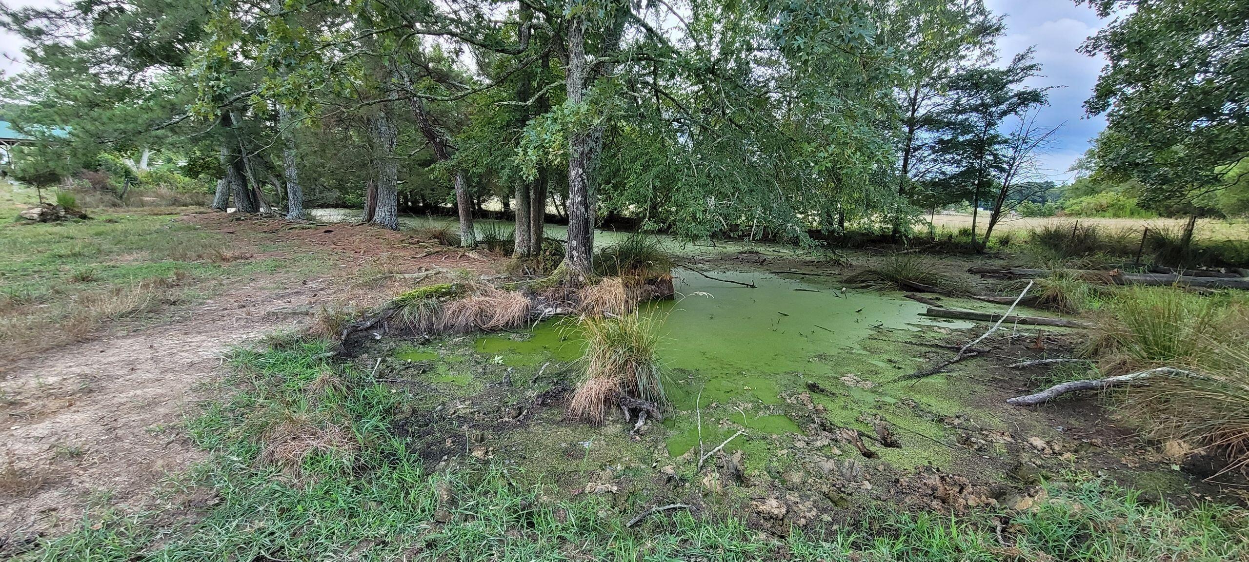 1376 Keith Valley Road, Cleveland, Tennessee image 44