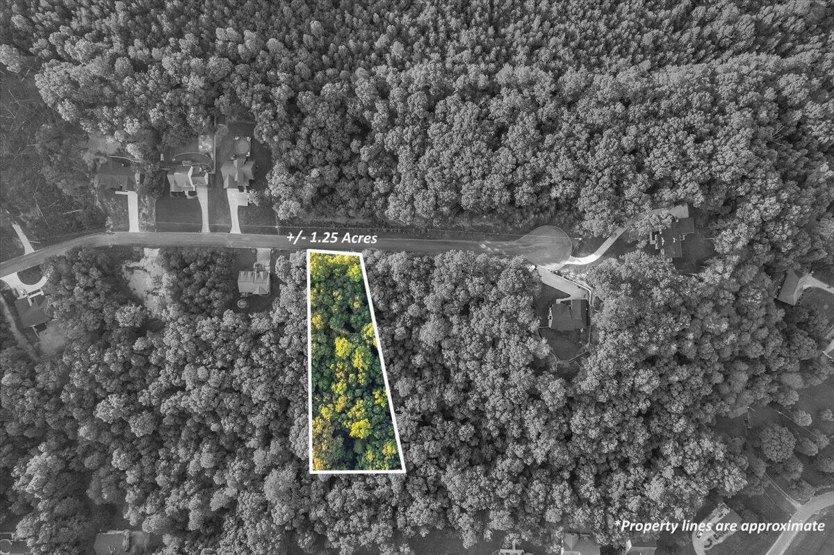 Lot 29 Highland Circle, Rocky Face, Georgia image 2