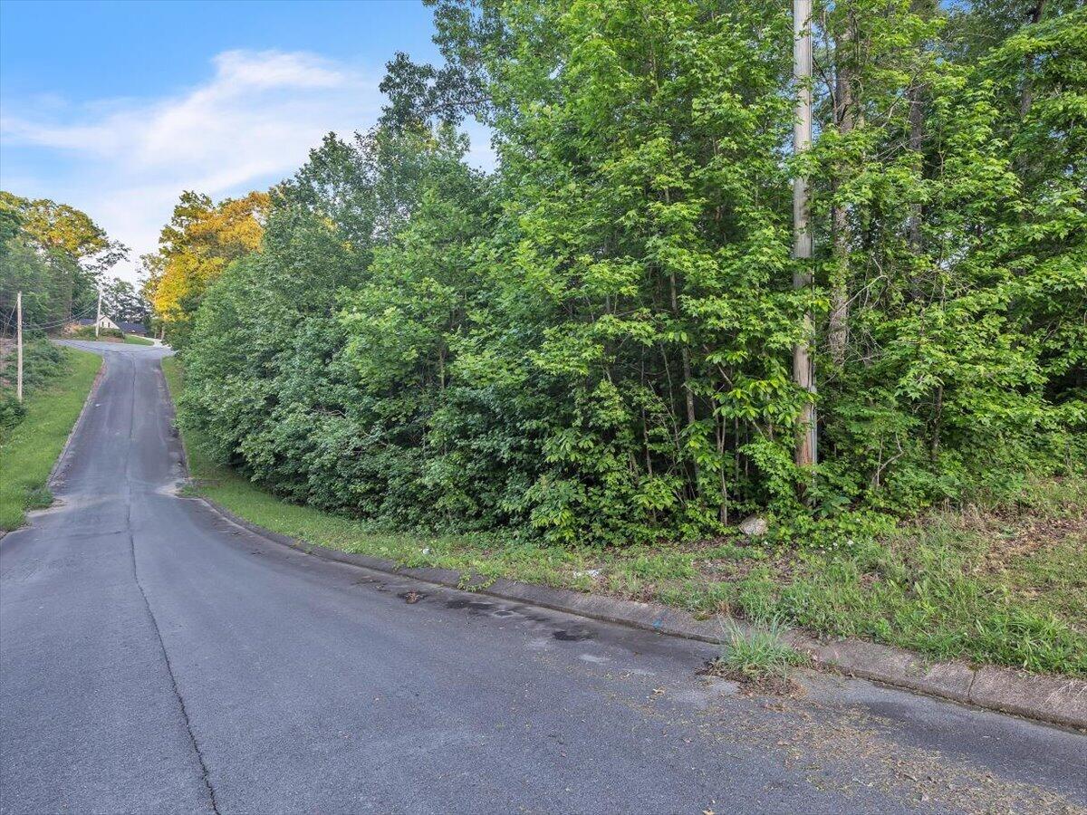 Lot 29 Highland Circle, Rocky Face, Georgia image 20