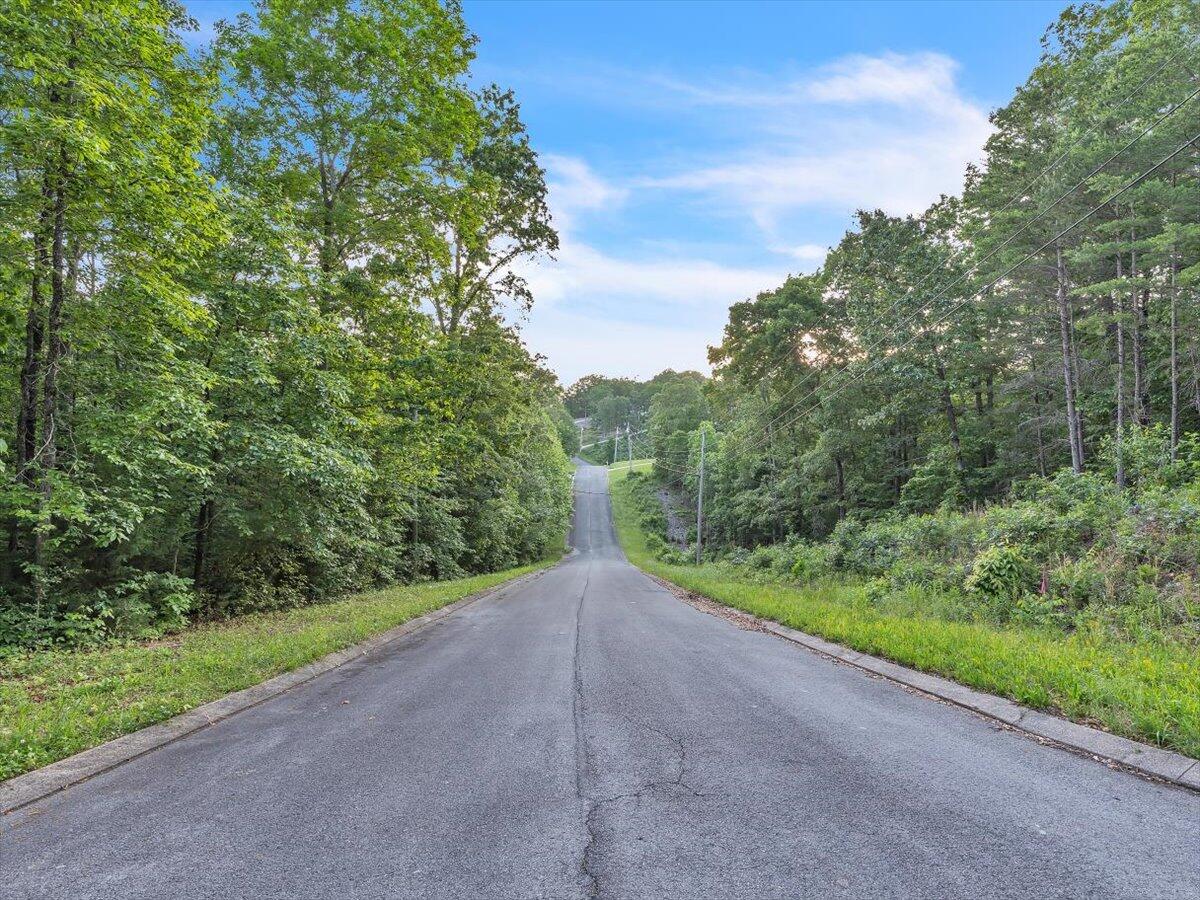 Lot 29 Highland Circle, Rocky Face, Georgia image 22