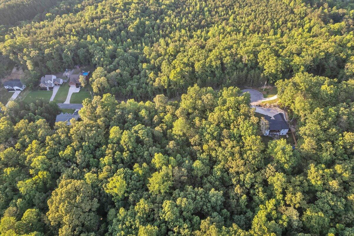 Lot 29 Highland Circle, Rocky Face, Georgia image 18